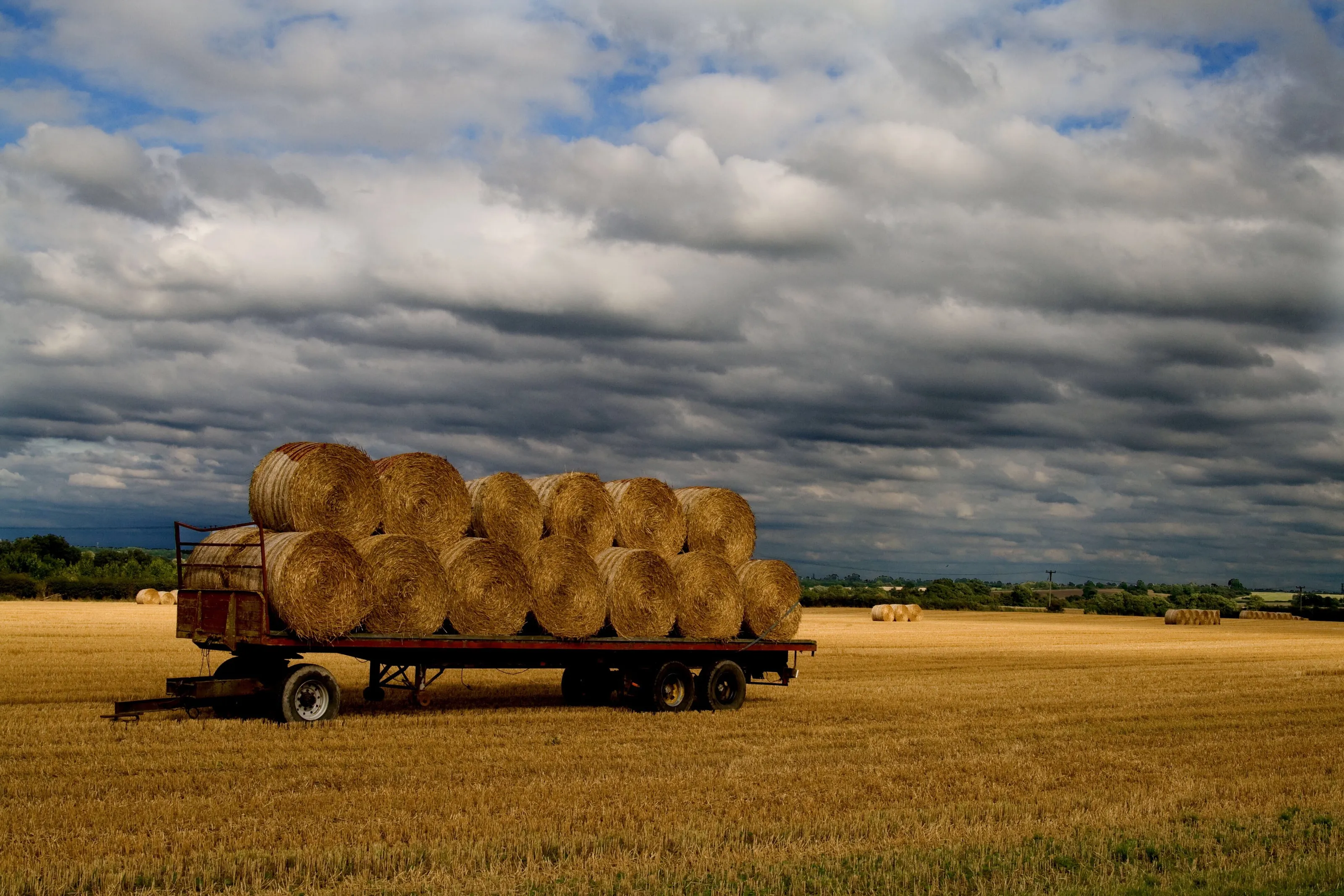 Harvest