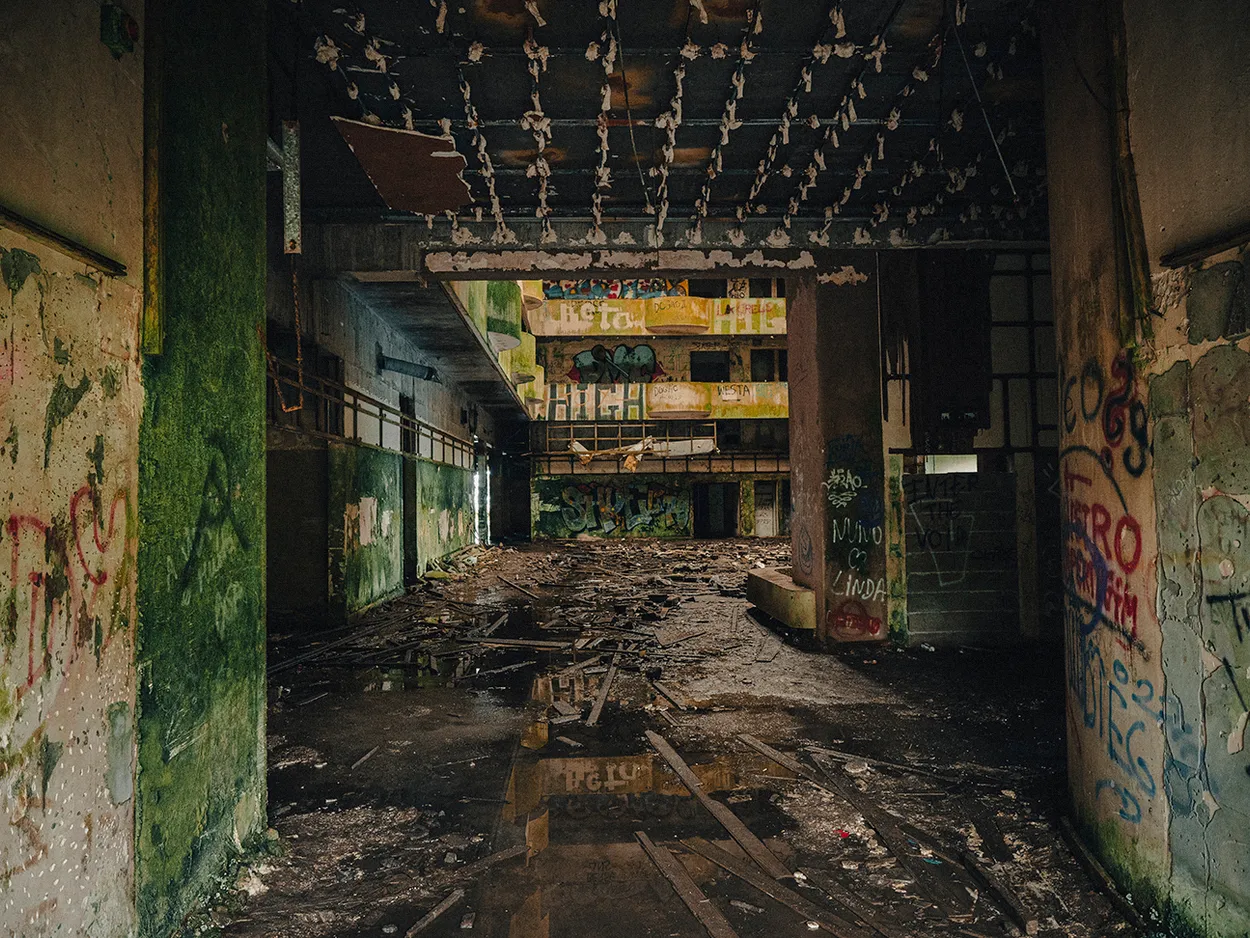 Entry 27312010