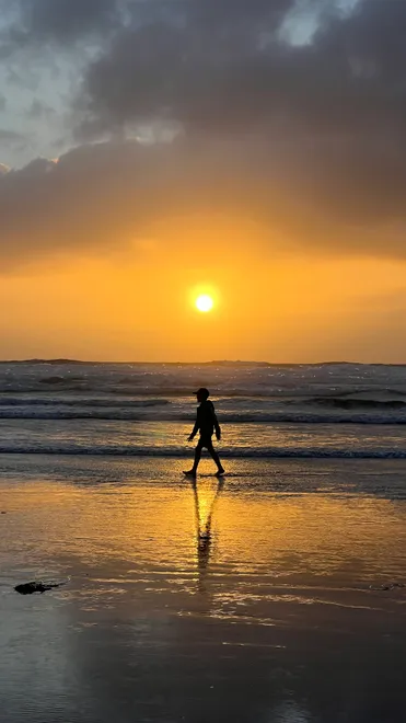 The Silhouette
