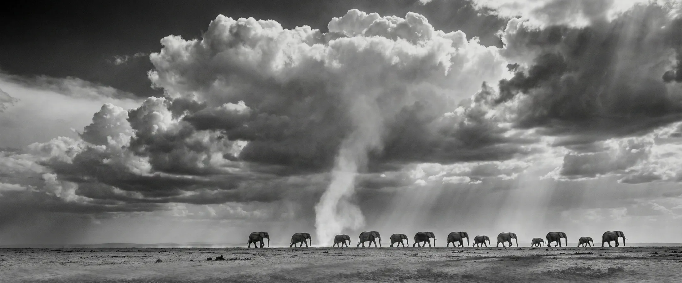 Entry 27327126
