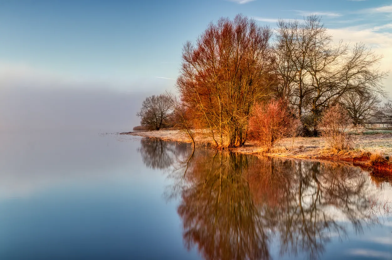 Entry 27986860