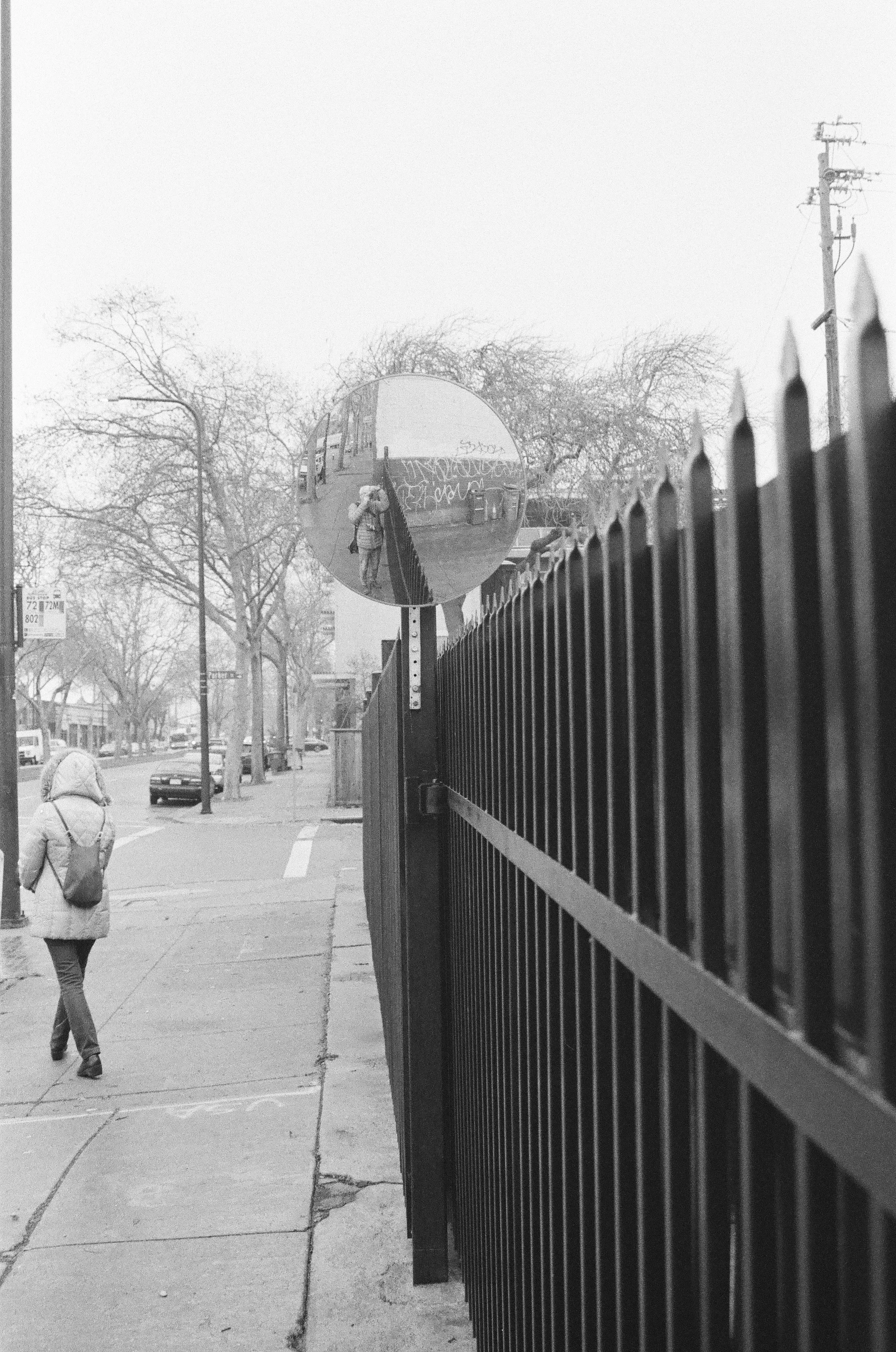 Sidewalk Stroll