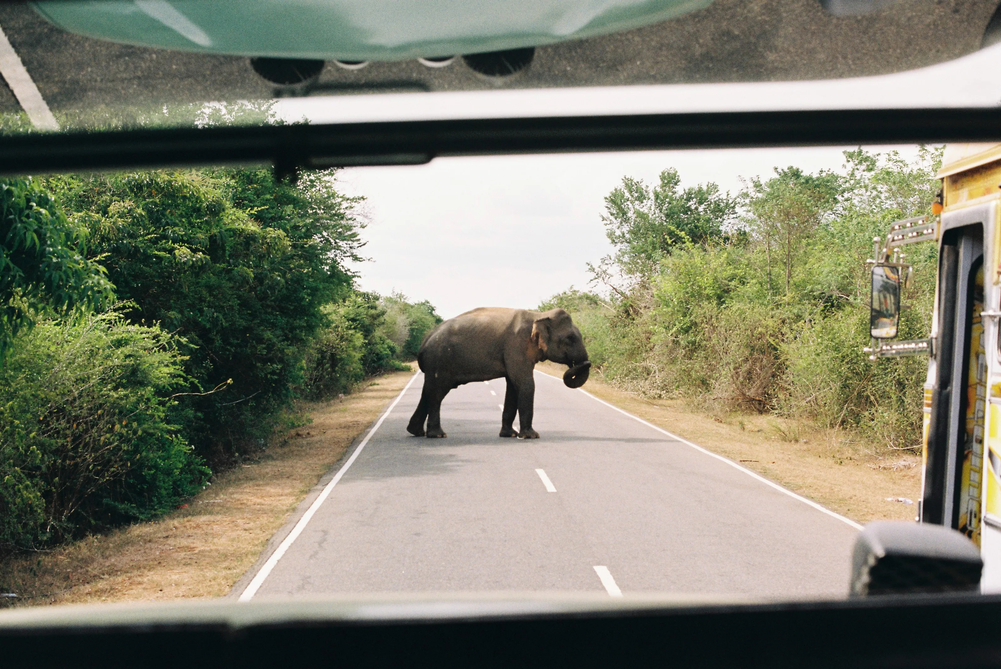 Road blocked
