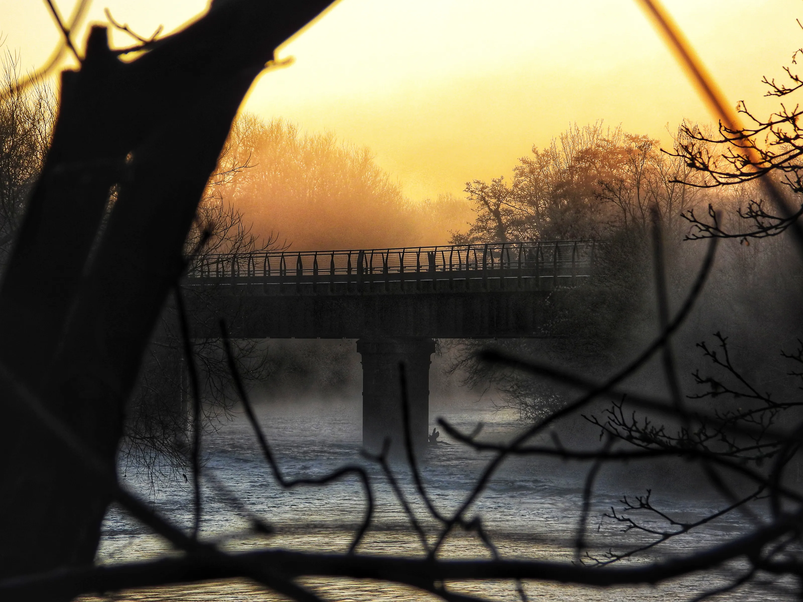Foggy sunrise