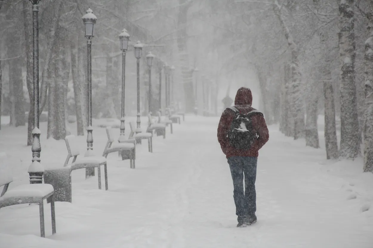 Entry 27371226