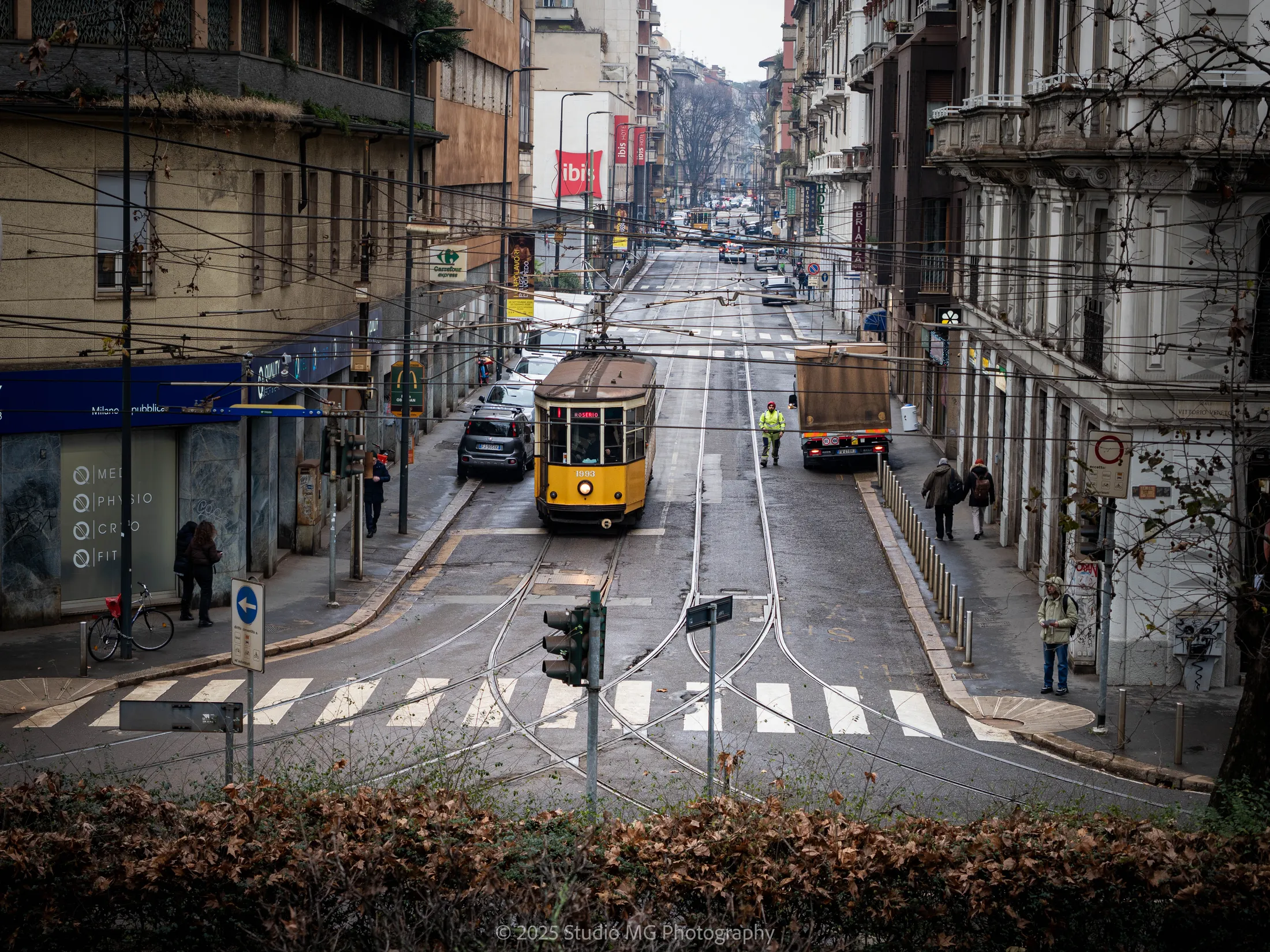Yellow in the Mist