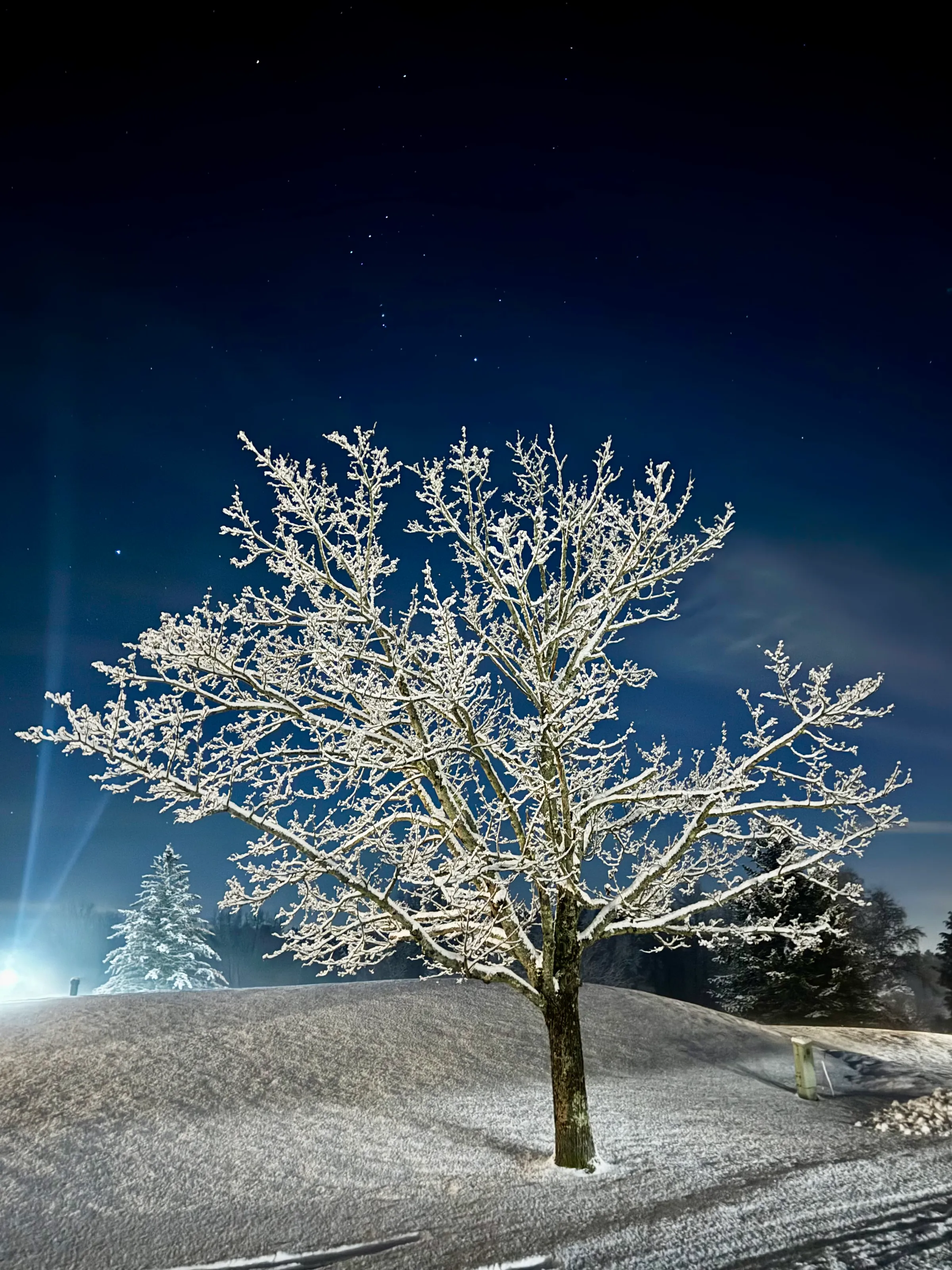 Starlit and Snowcapped