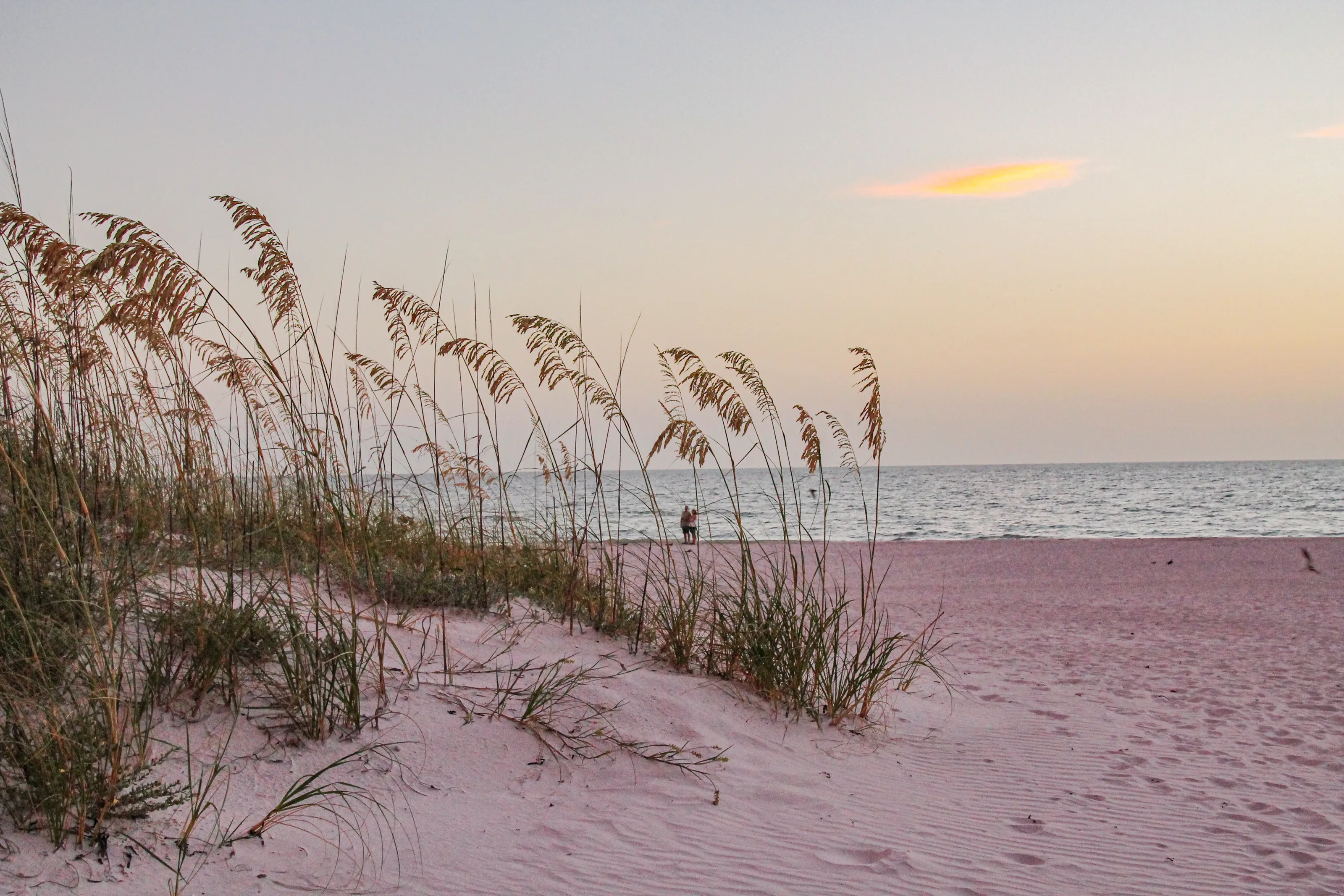 Beaches