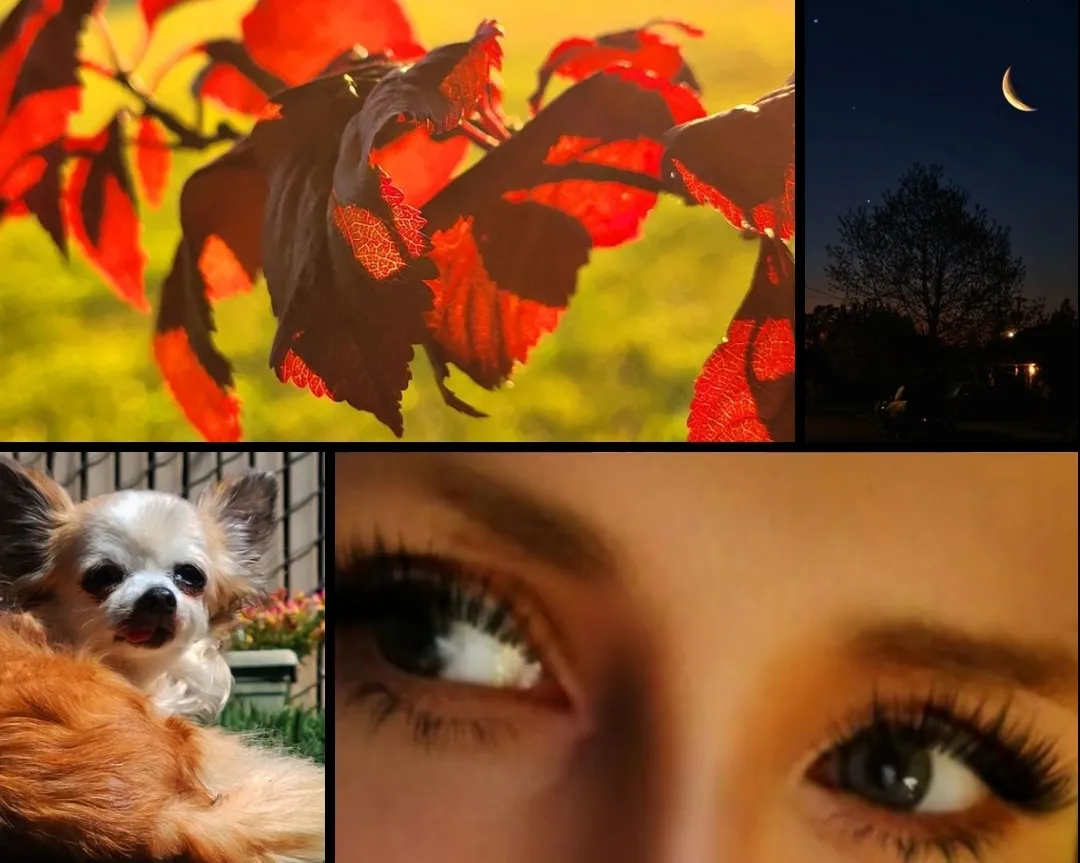 A small collage of my past photography