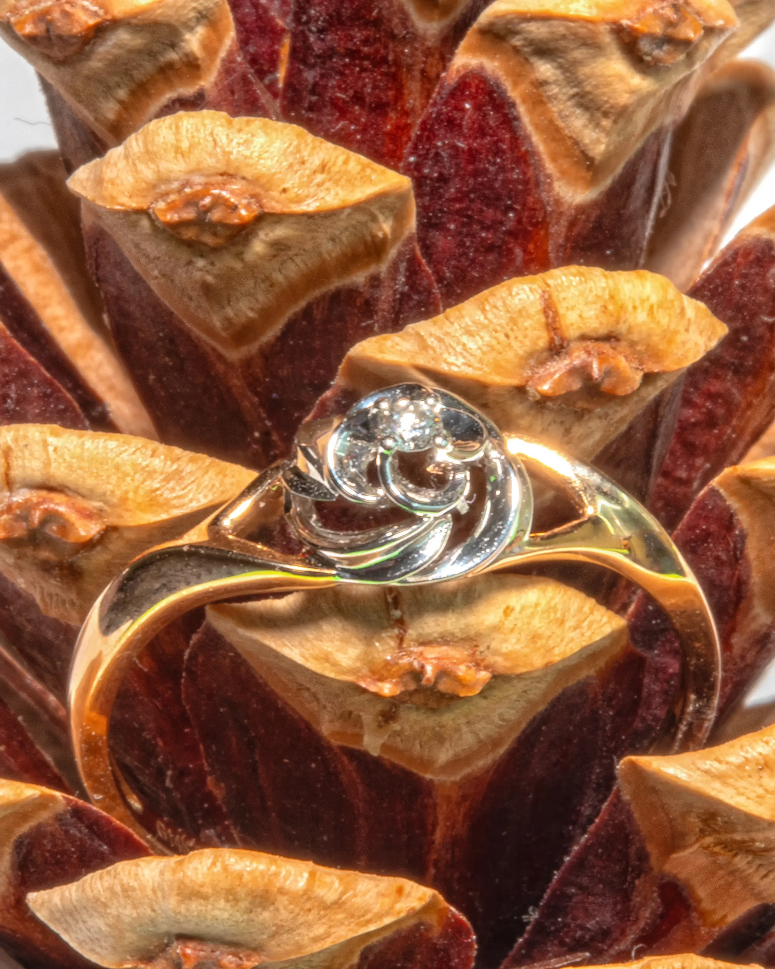 Jewellery in Macro