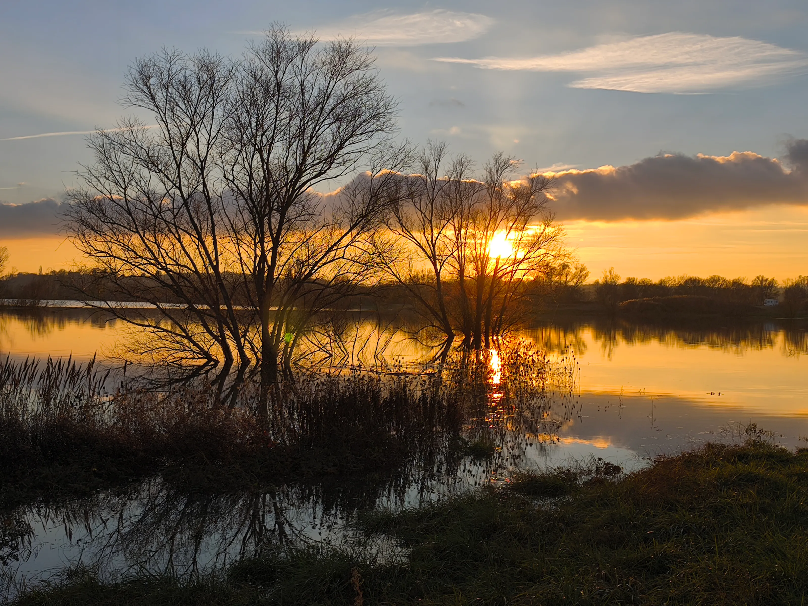 Coucher de soleil au bord de l'étang