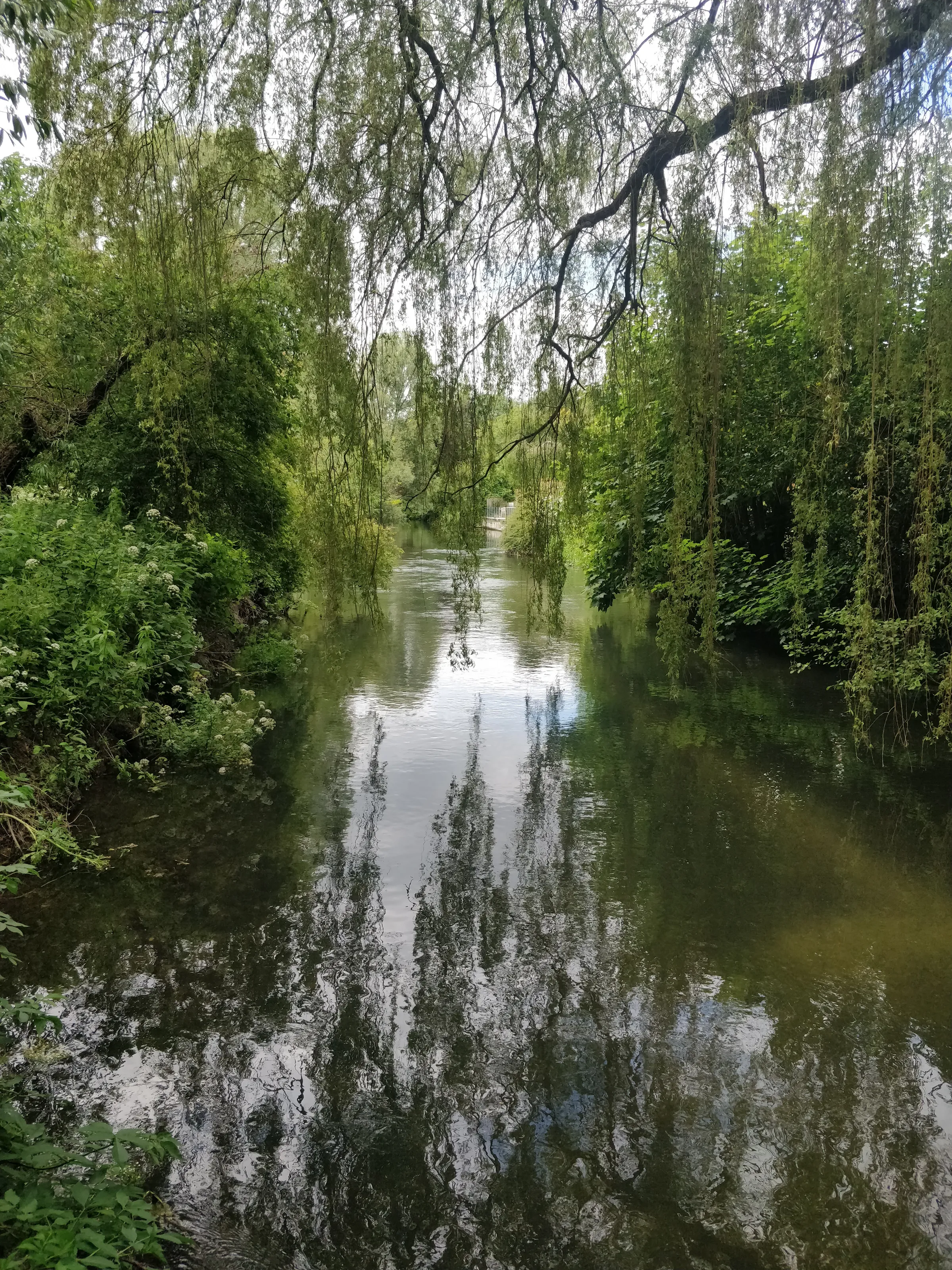River Nadder