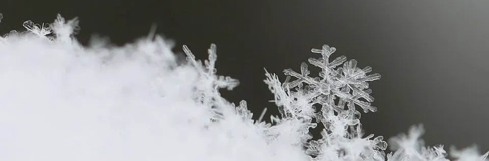 Snowflakes