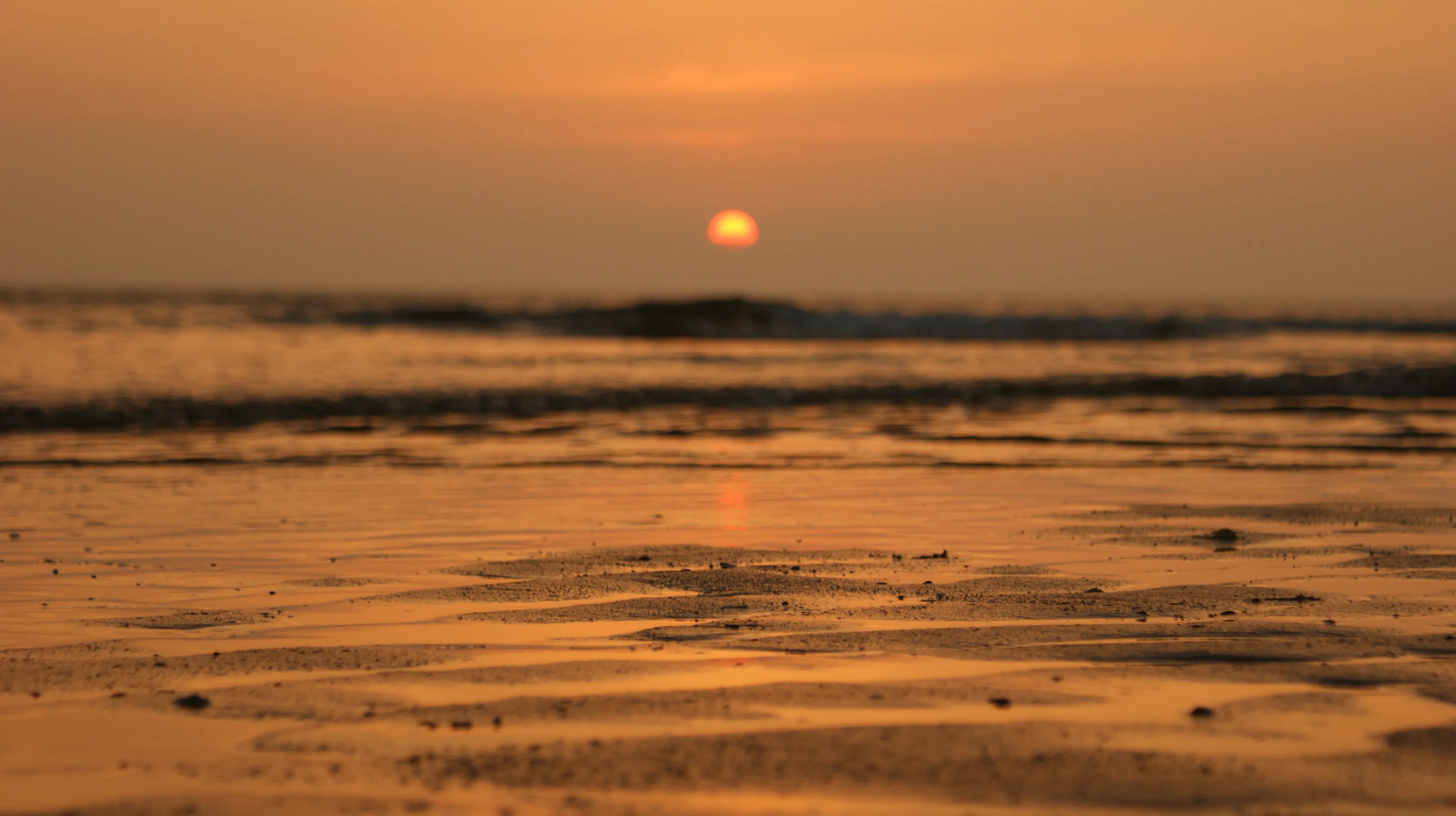 Seaset