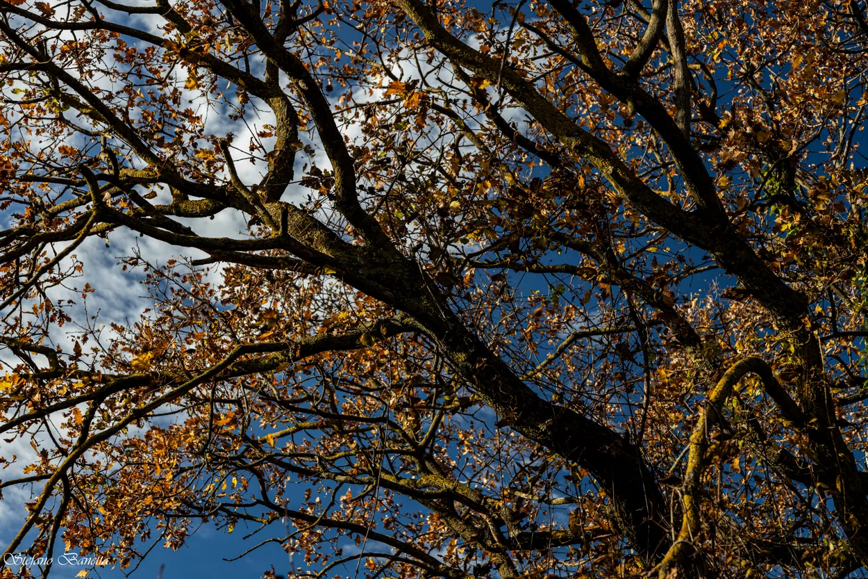 Untitled image