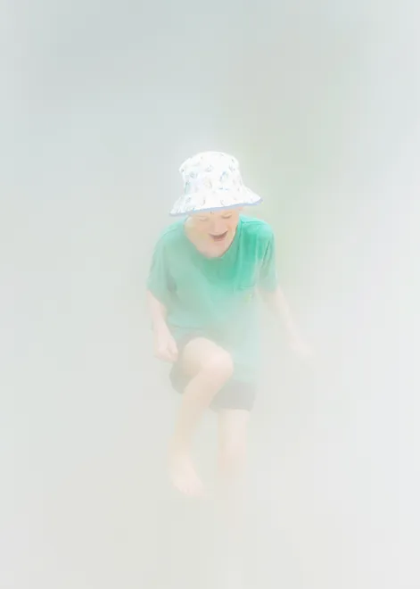 Entry 29110211