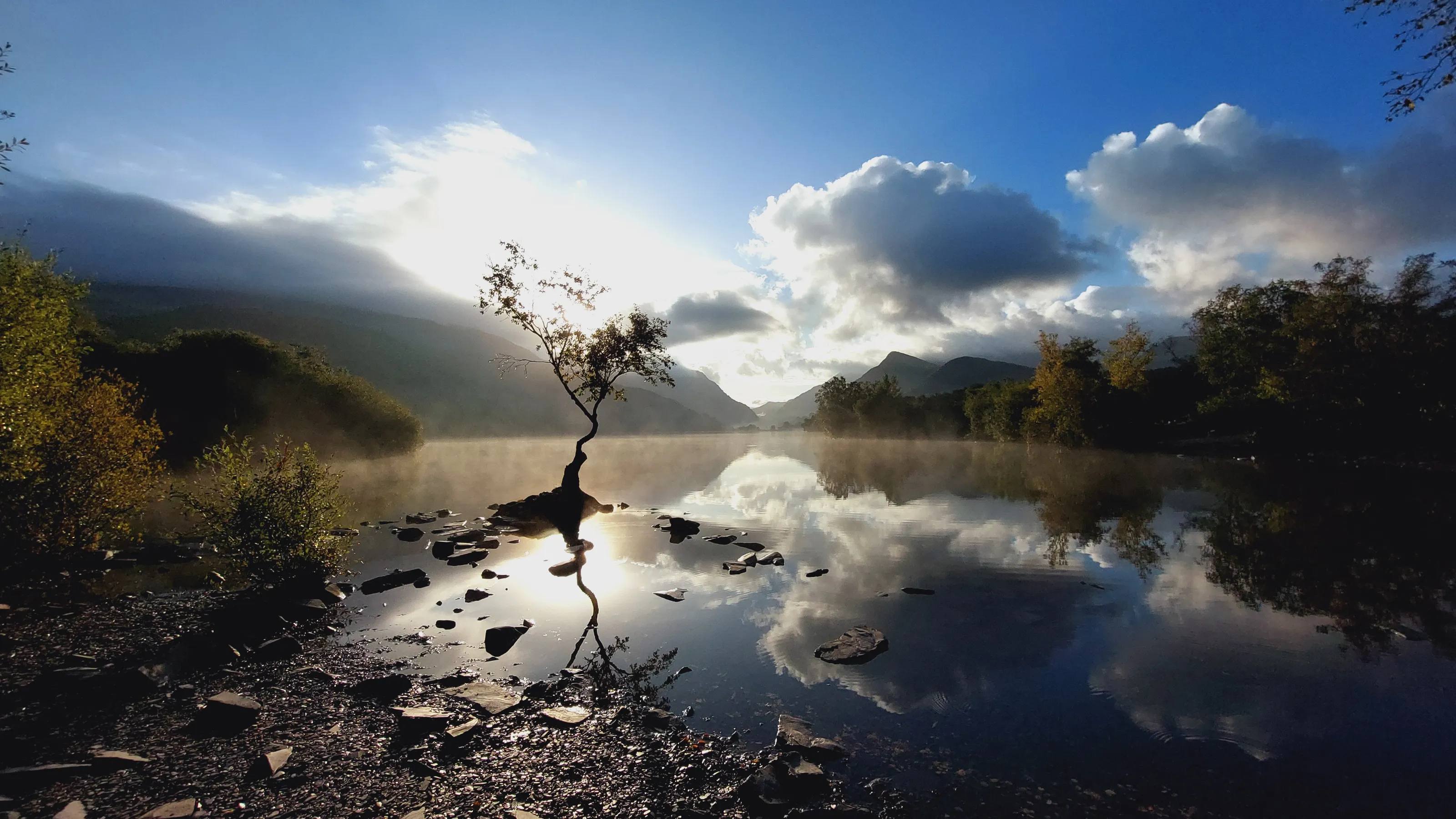 Misty Morning