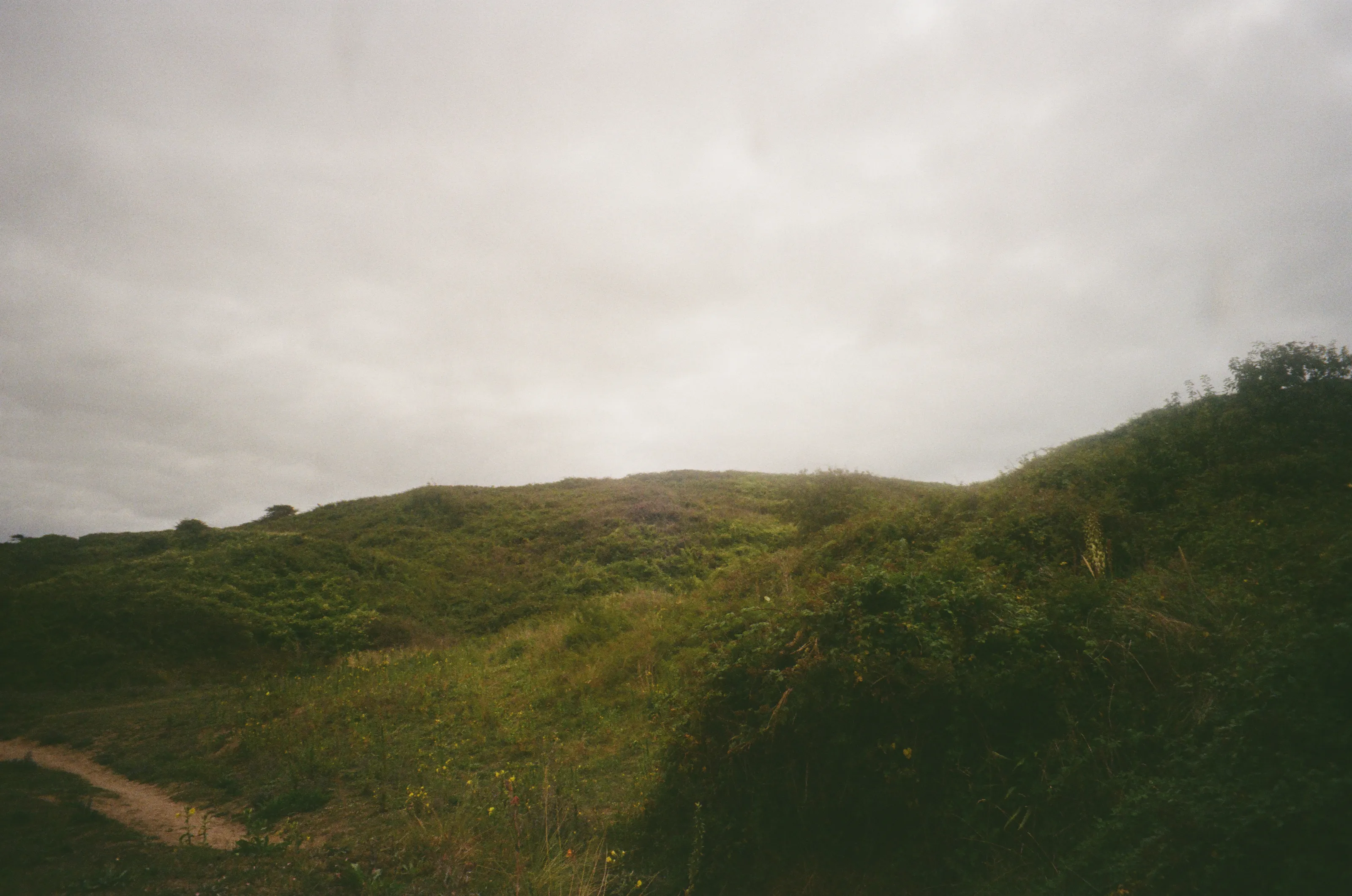 Soft rolling hills