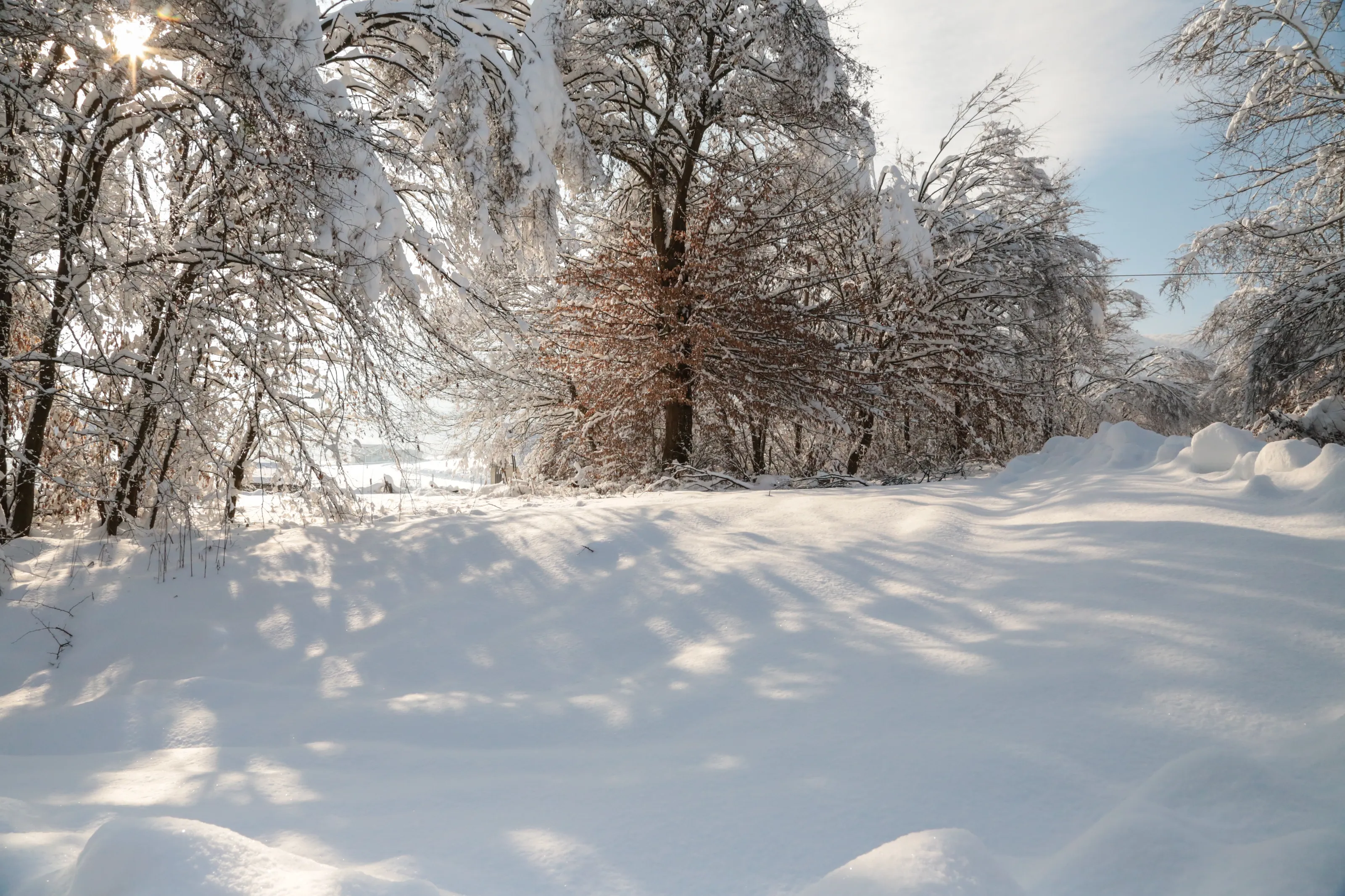 Snow White