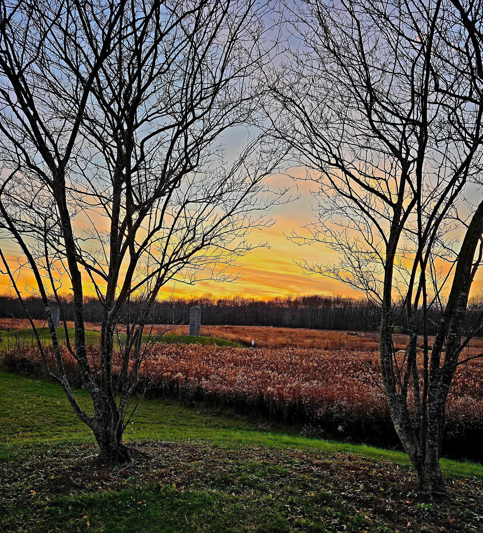 Beautiful Nature at Sunrise or Sunset (in colour)