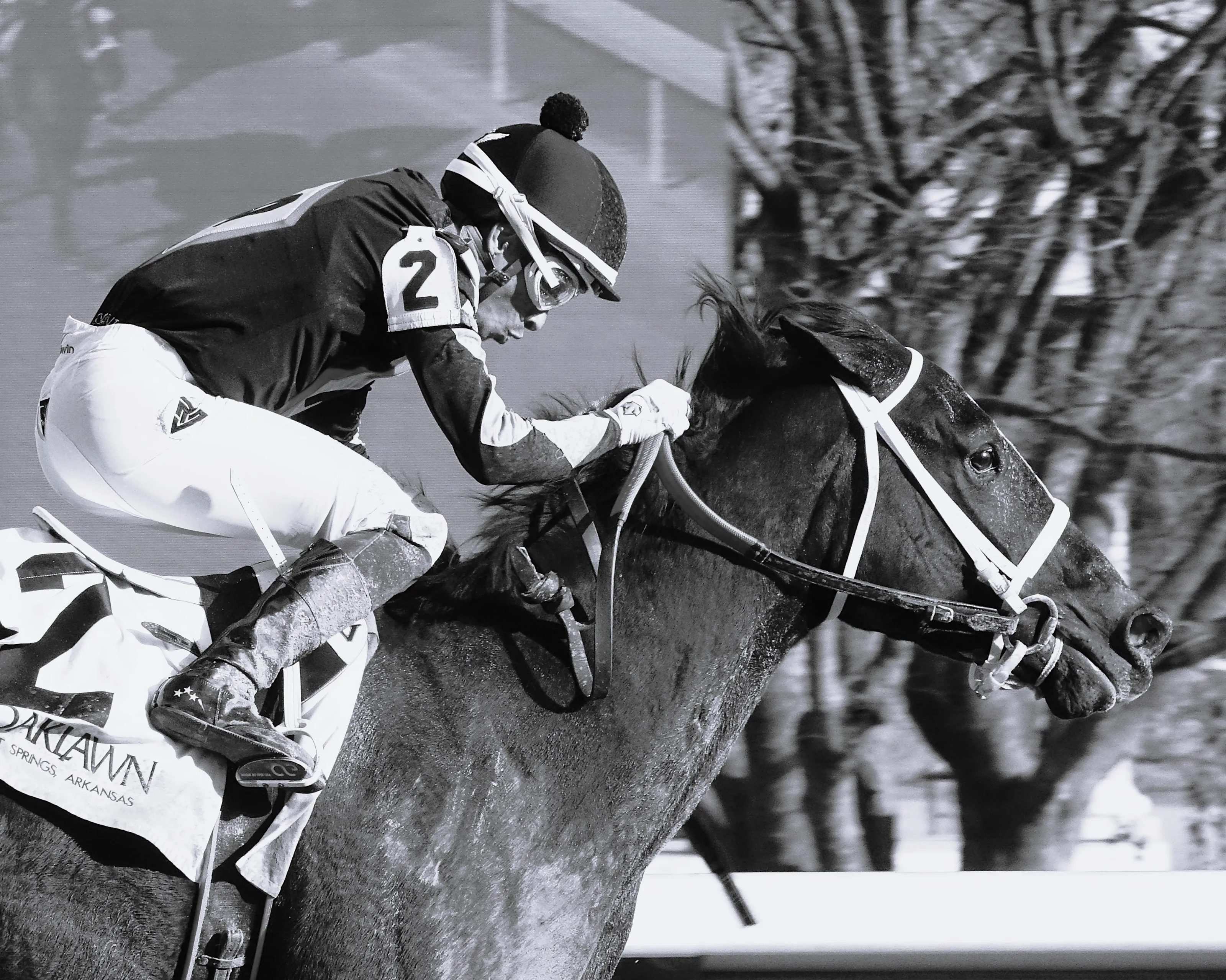 Winning Horse