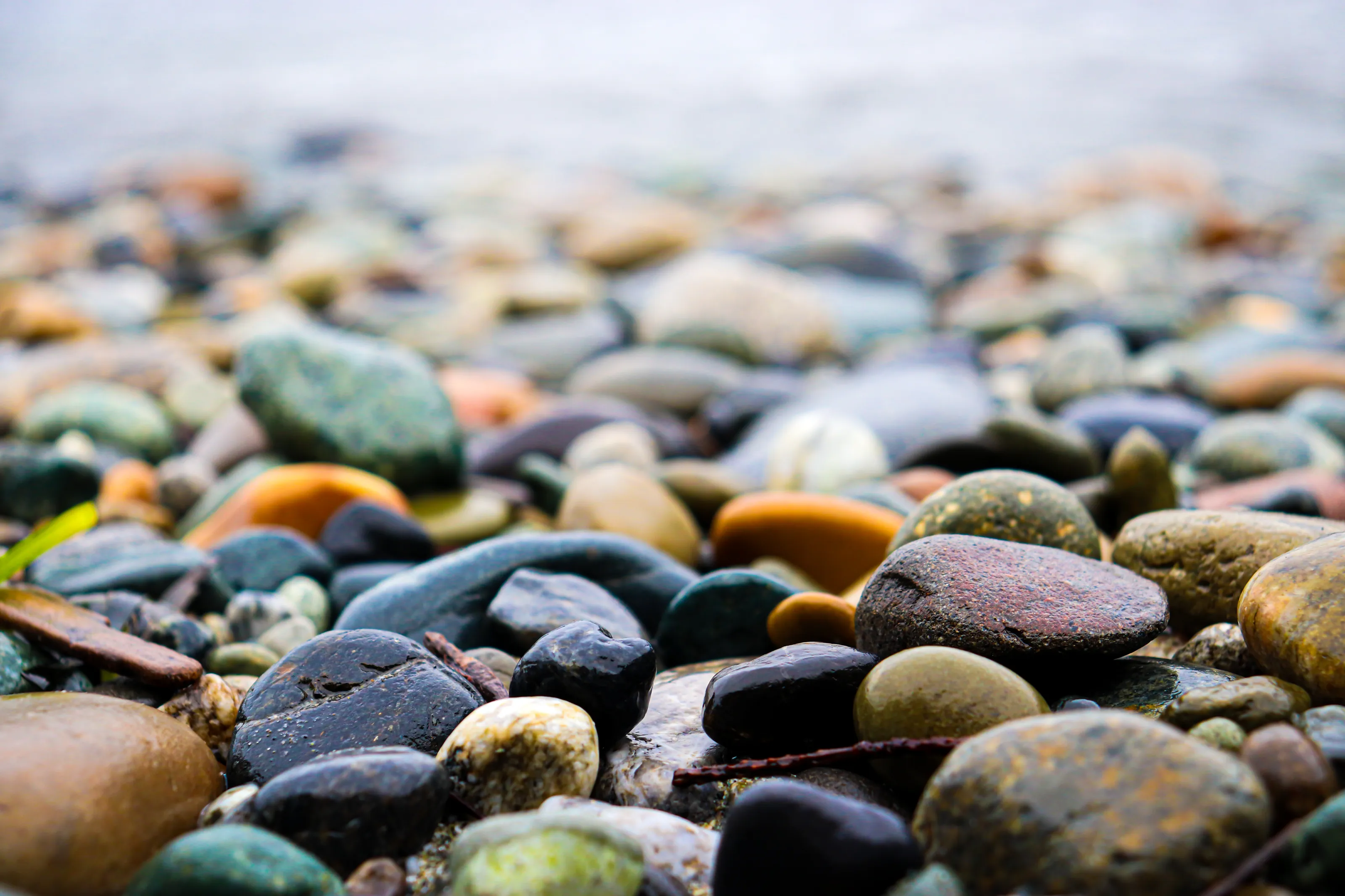 Rocky Shore