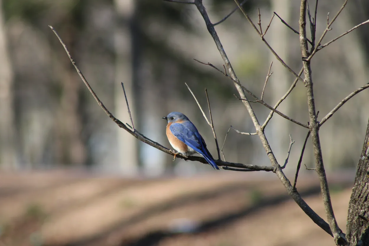 Entry 27512591