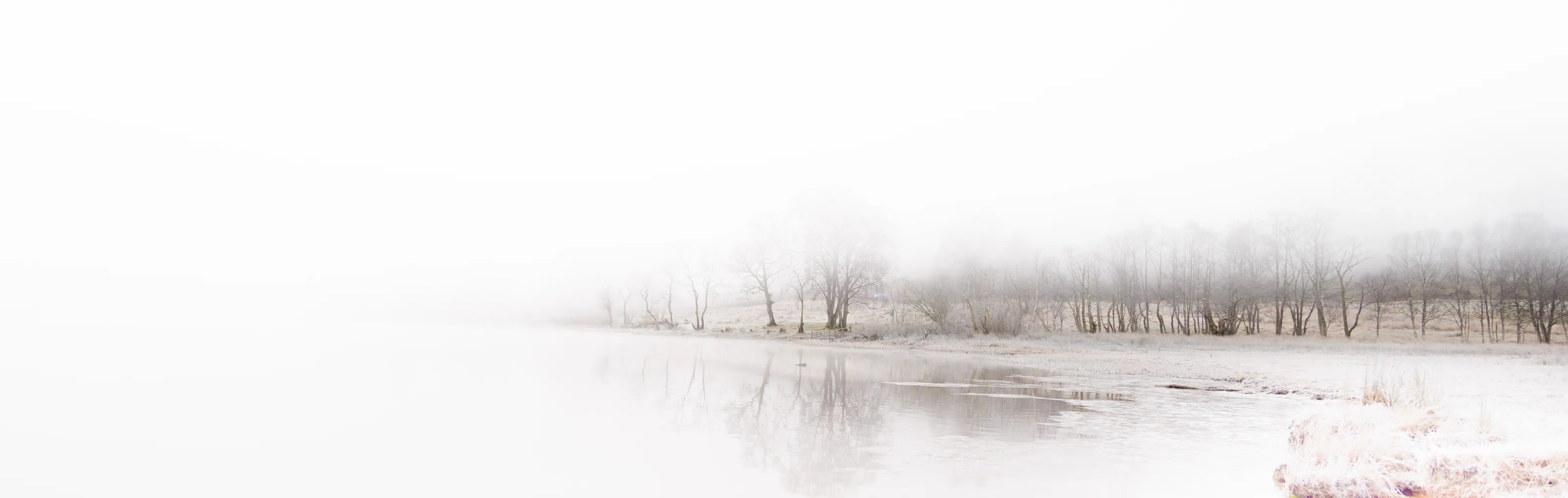 Waters Edge