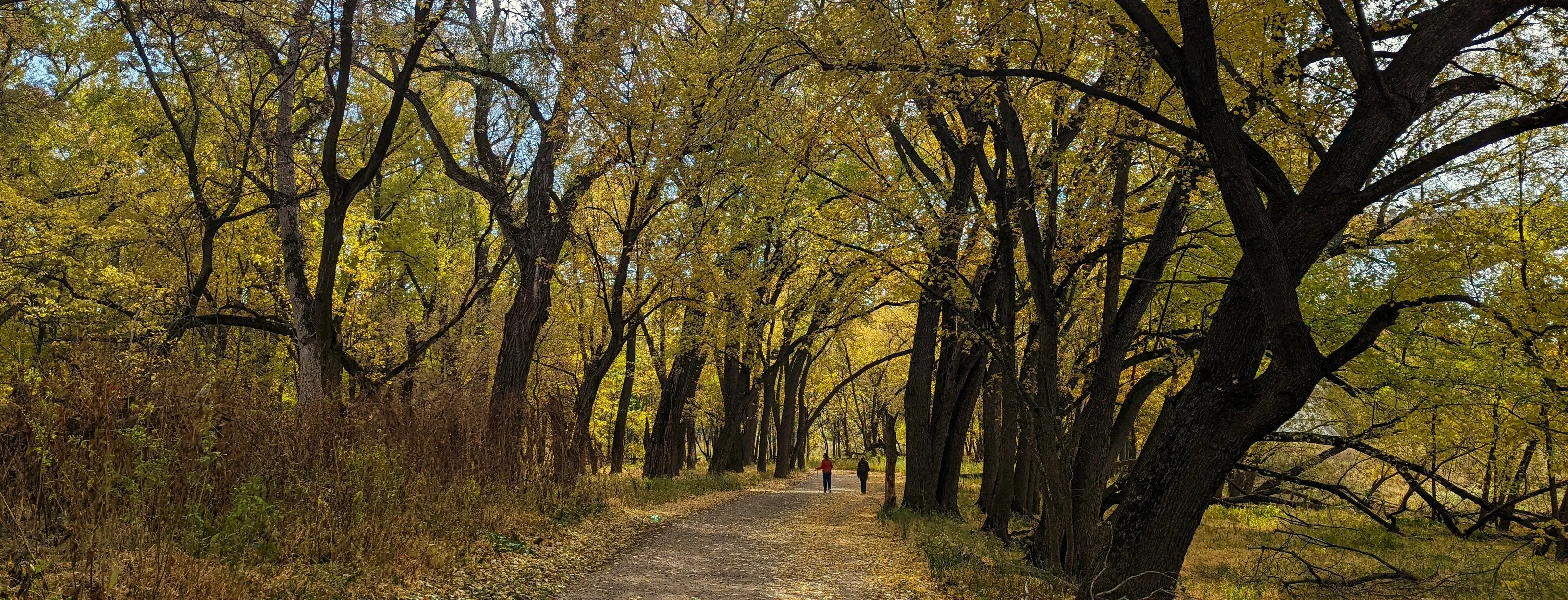 Scenic Paths Edged by Similar Objects