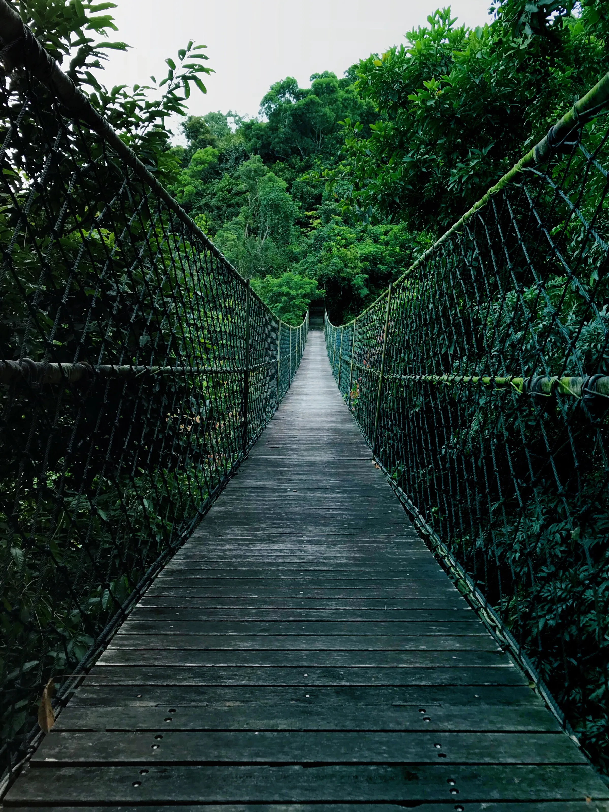 Bridge of Inspiration