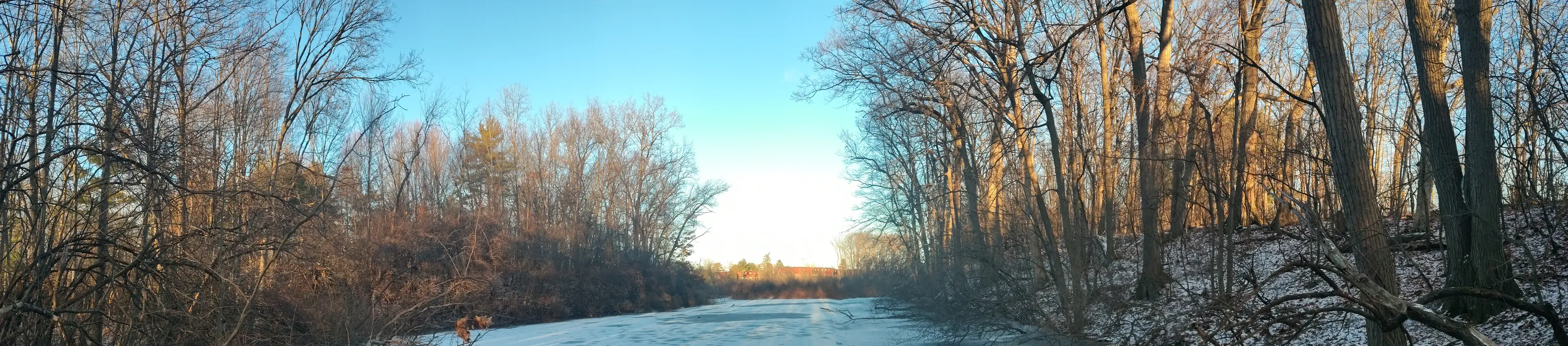 frozen bog