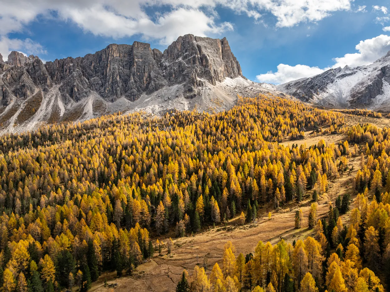 Dolomiti Yellow