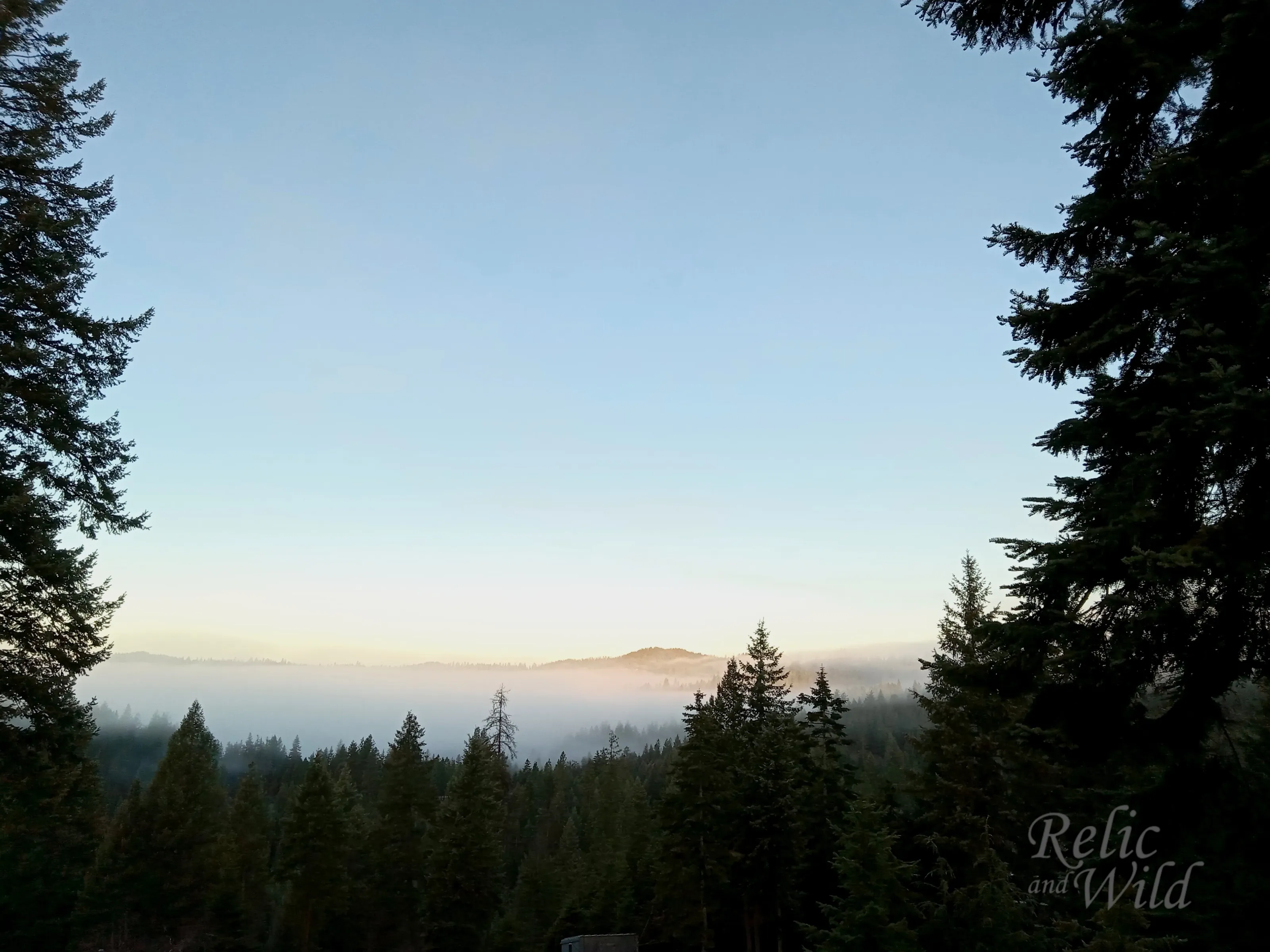 Mountain Morning