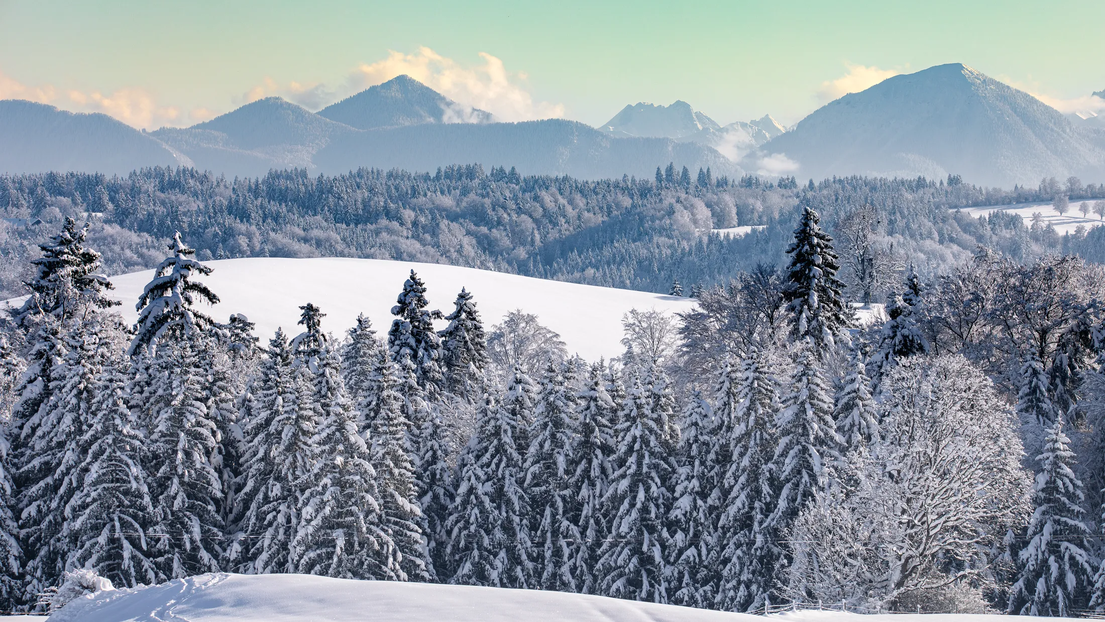 Winter in the Mountains