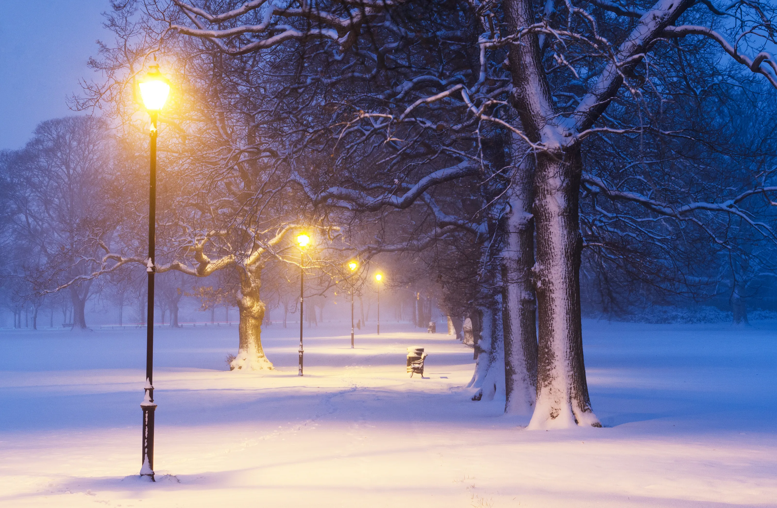 Pathway to Narnia