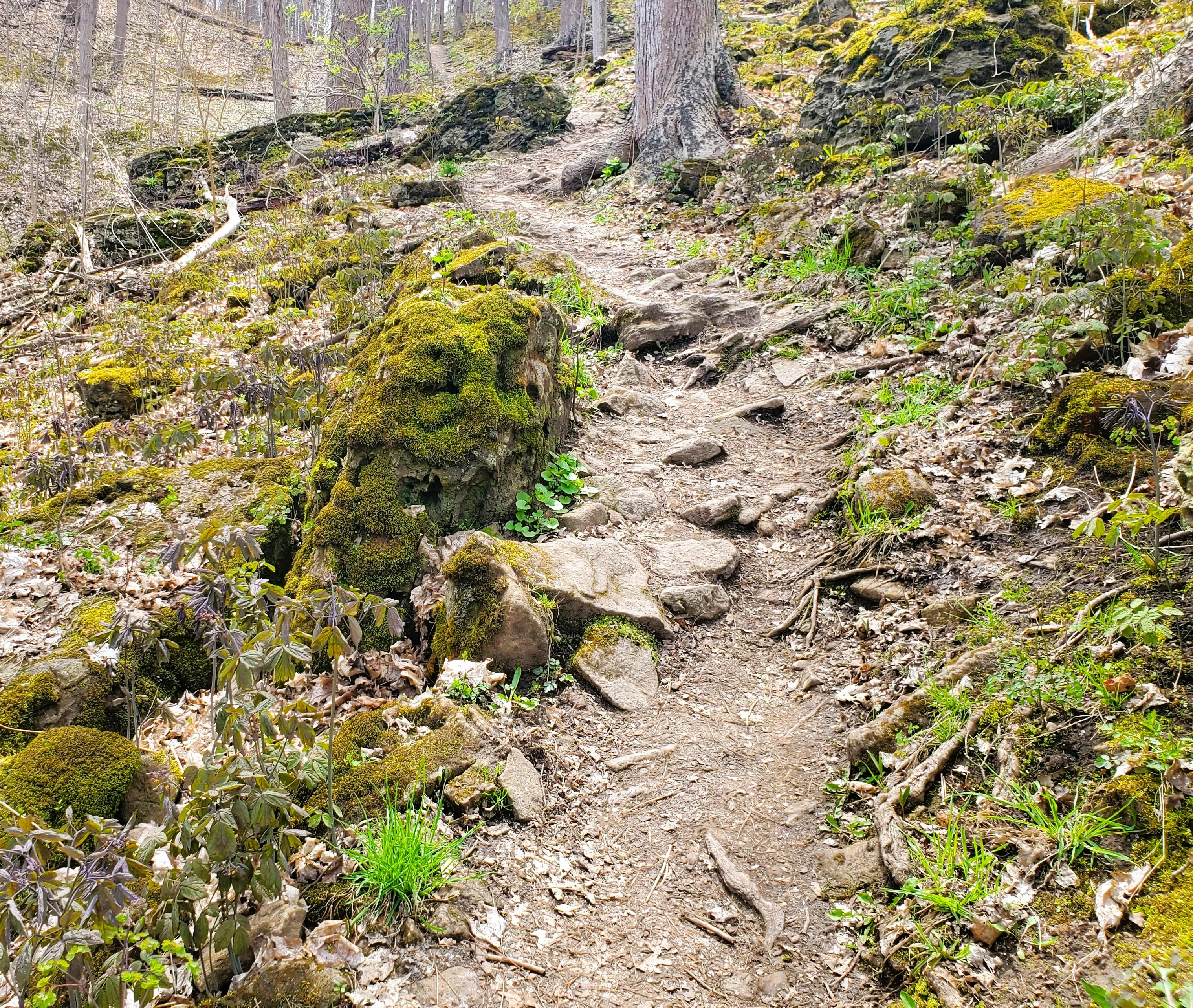 Rocky and Stony Hiking Paths