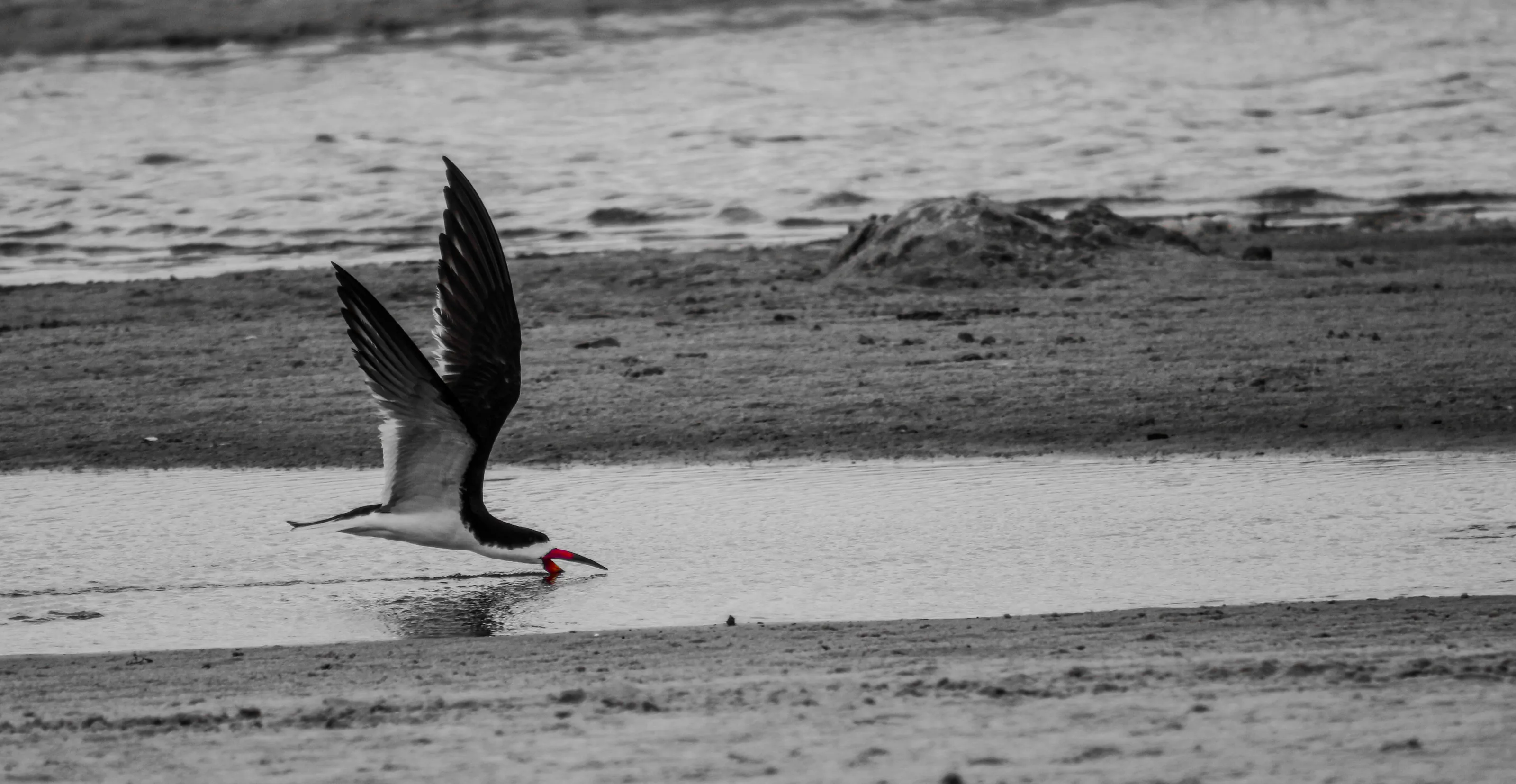 Skimming the Surface