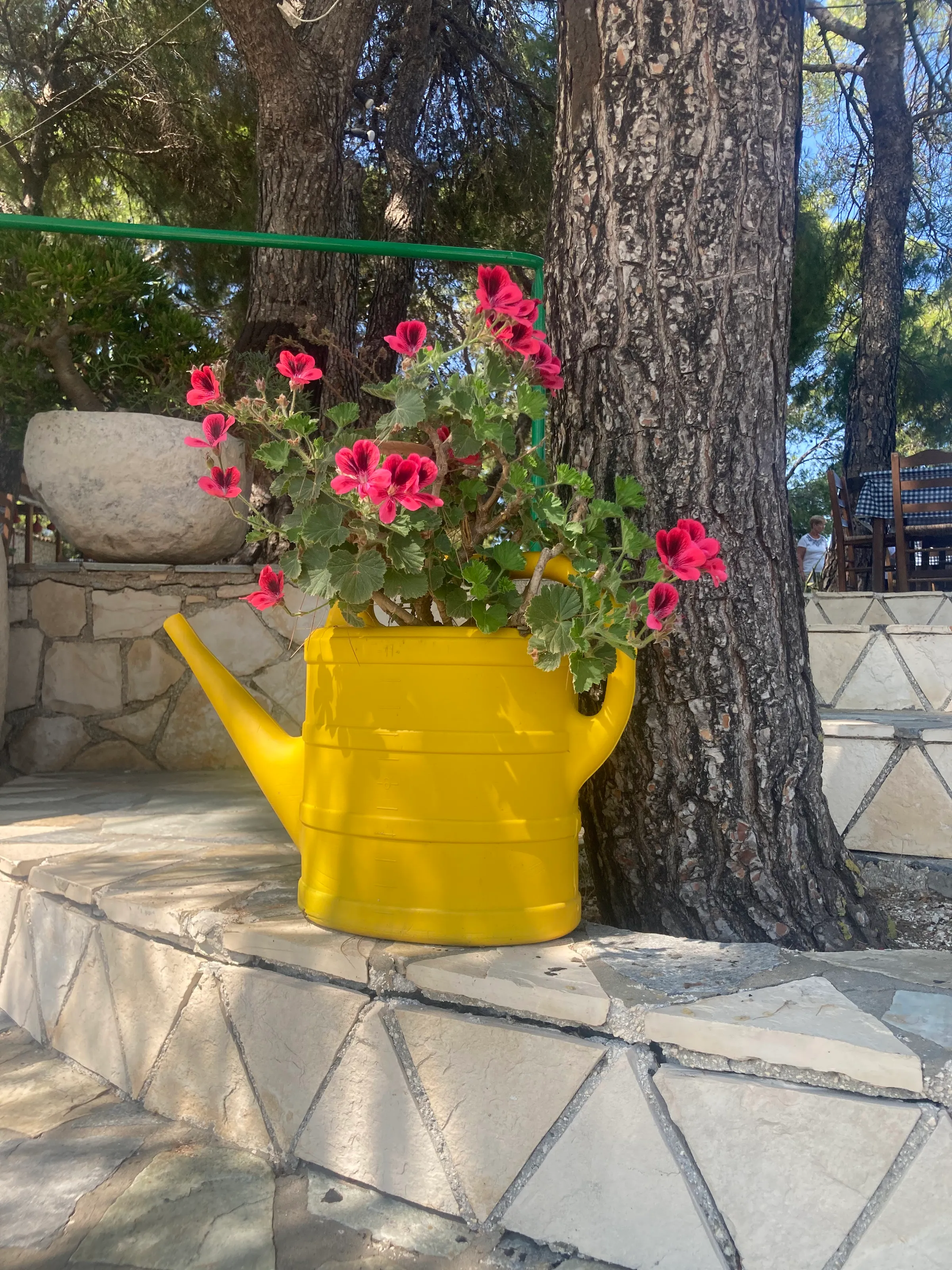 When the watering can becomes the pot