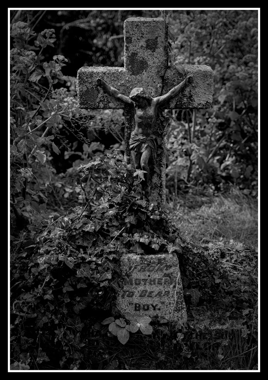 Entry 27568824