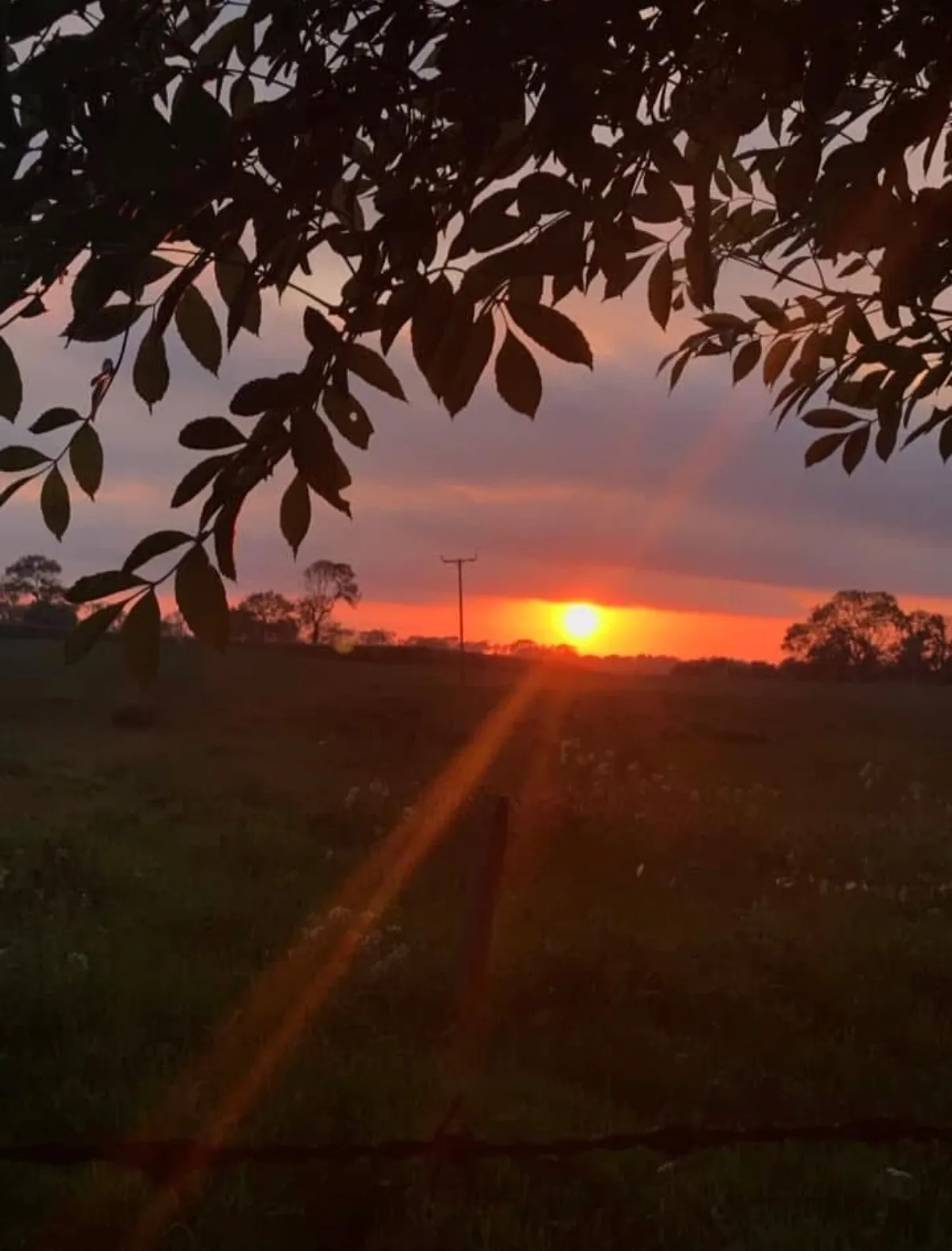 Northumberland Sunset