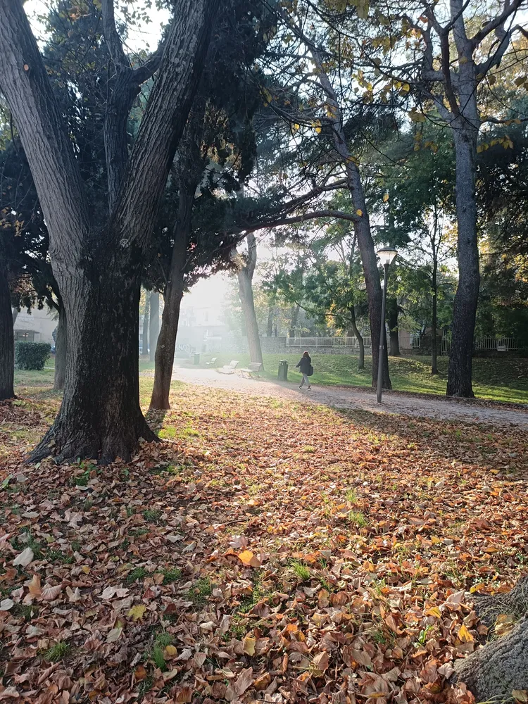 Autumn sunshine