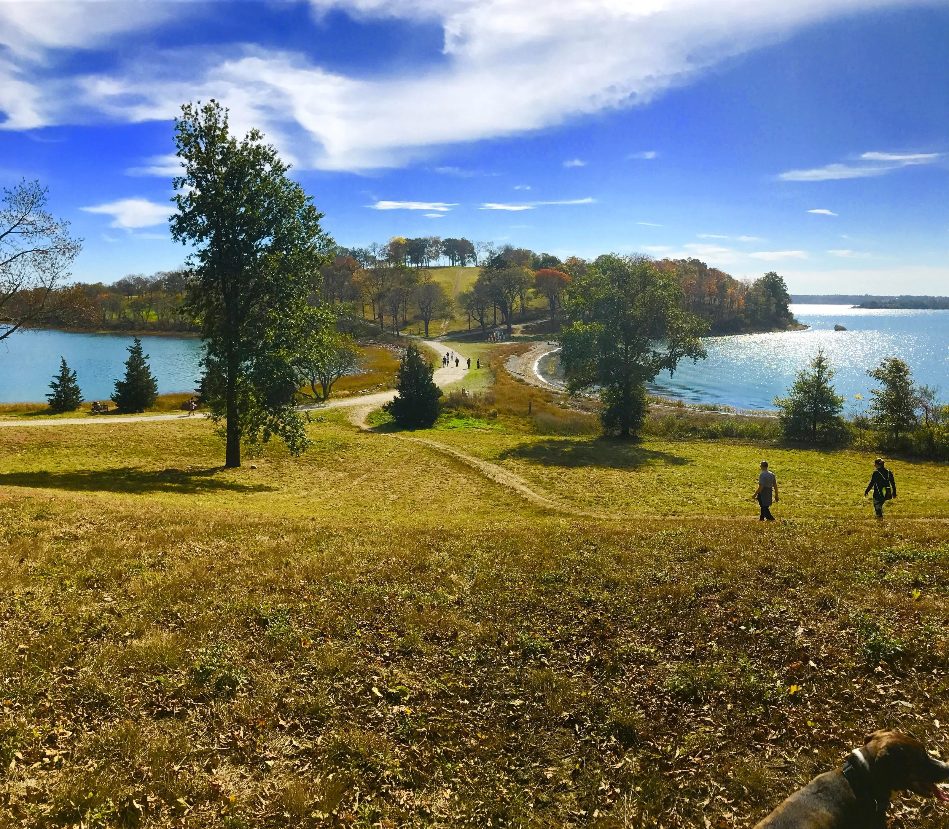 A walk in the park