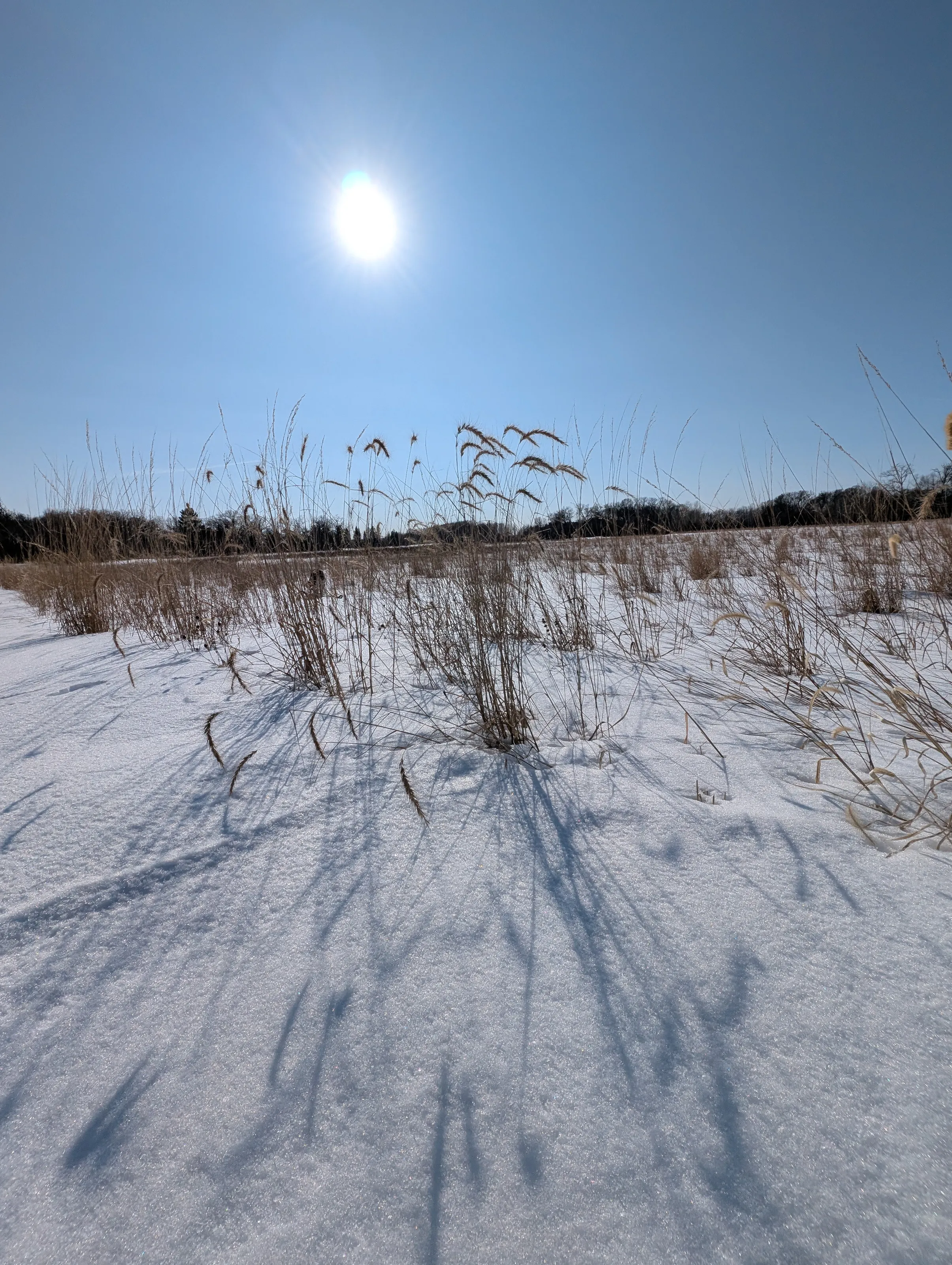 Sunny Winter Day