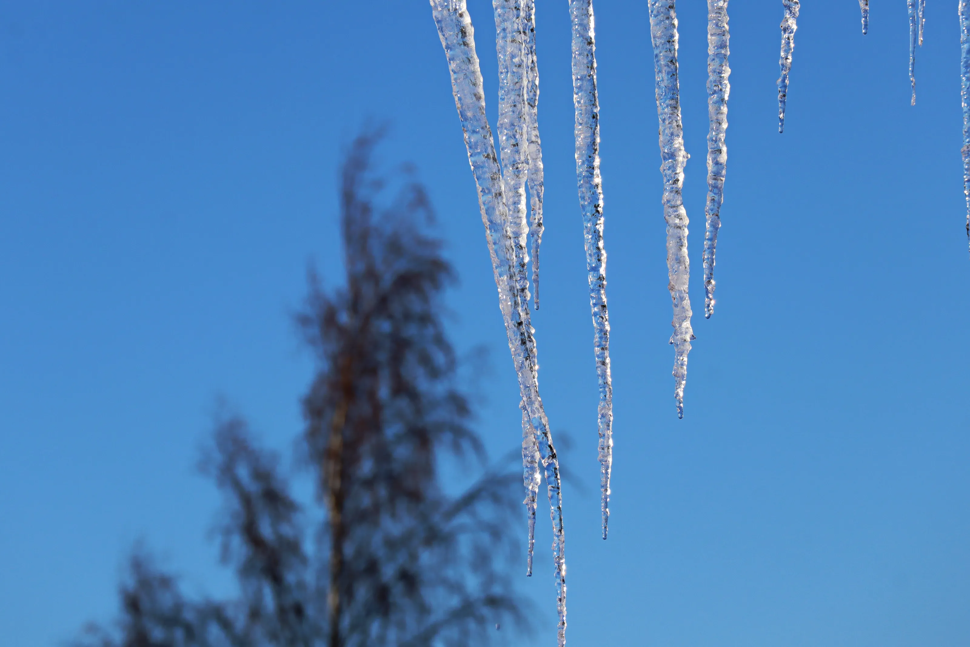 Icicles