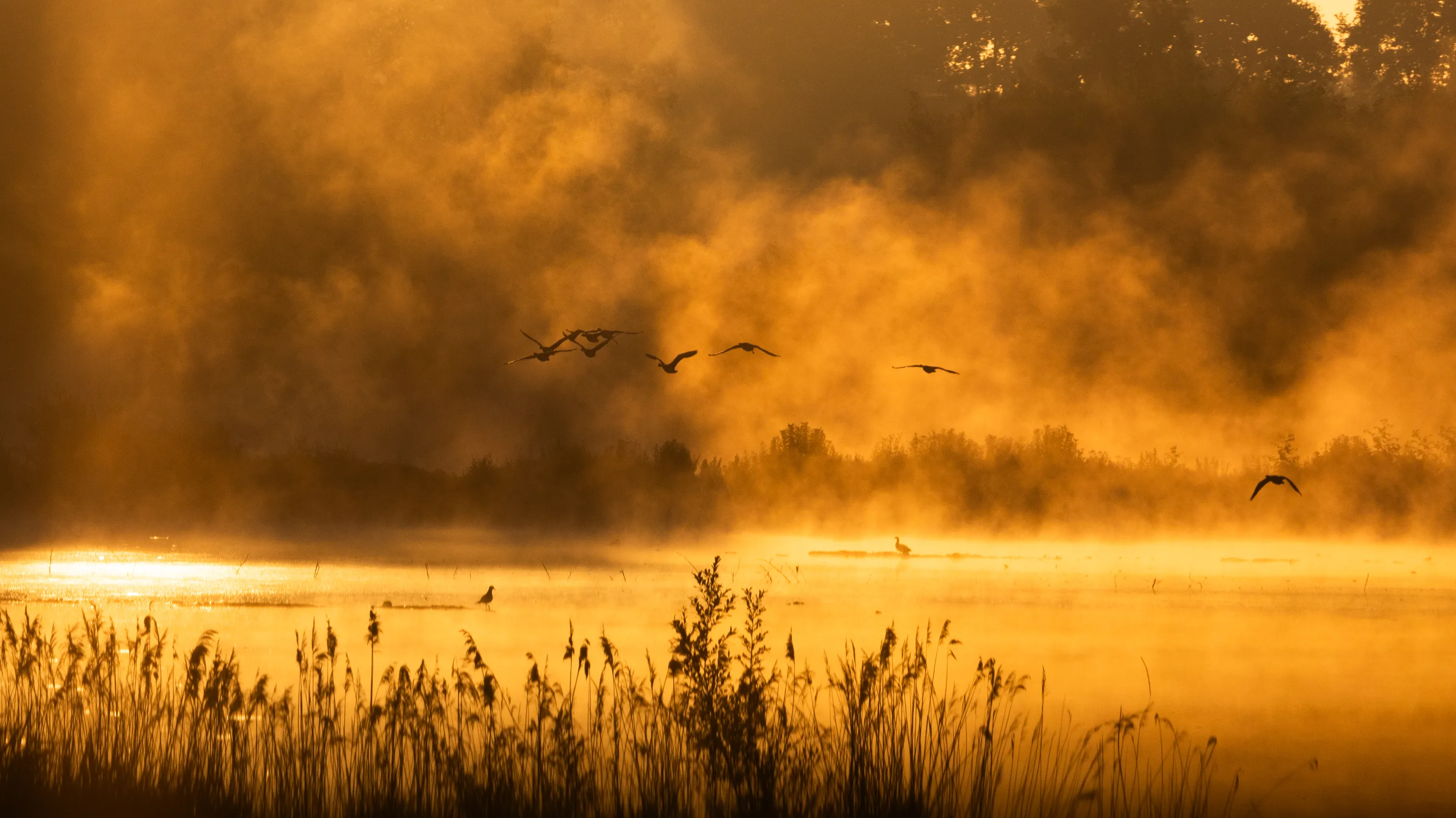 In flight at sunrise