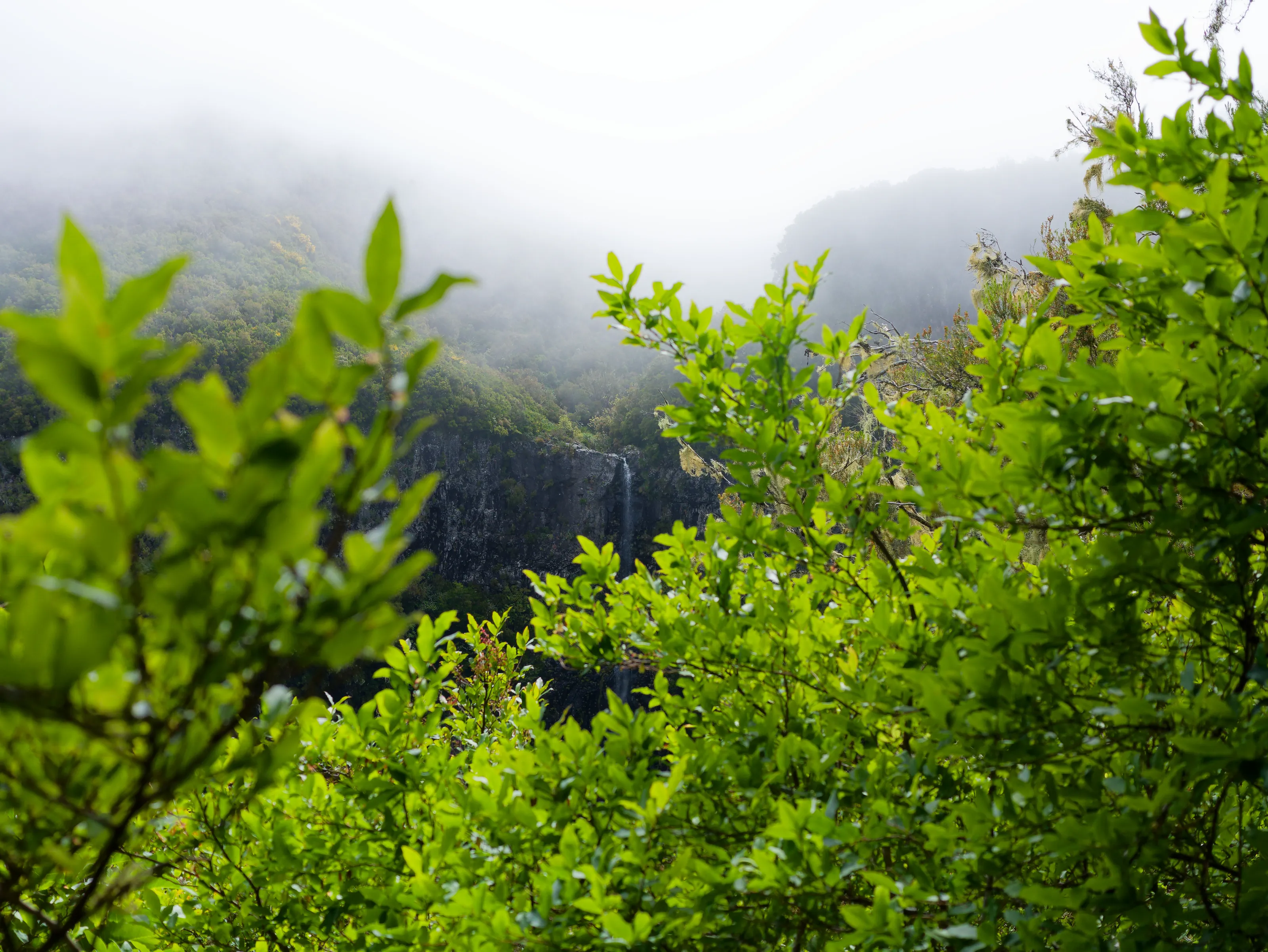 Hidden waterfall