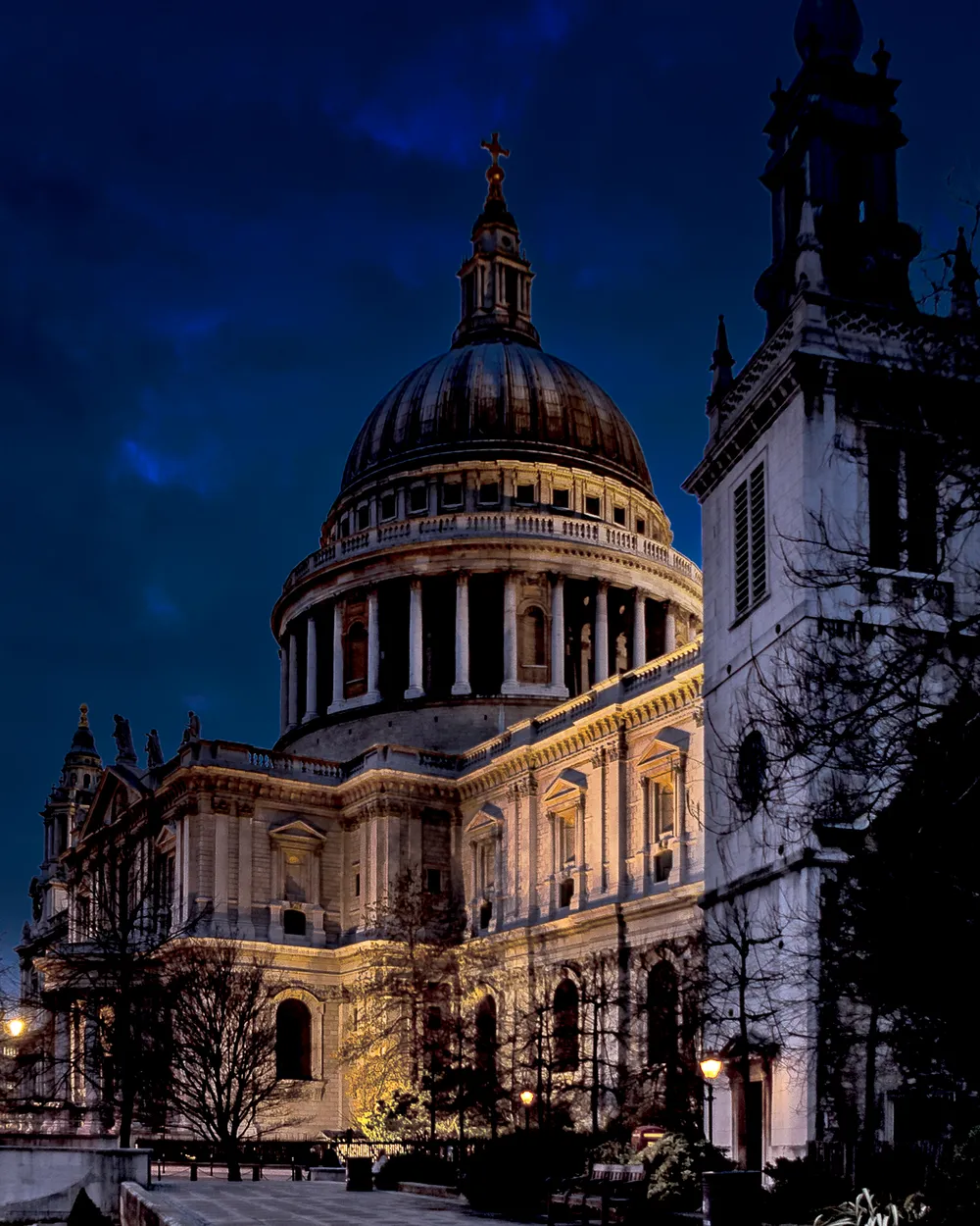 Entry 27650829