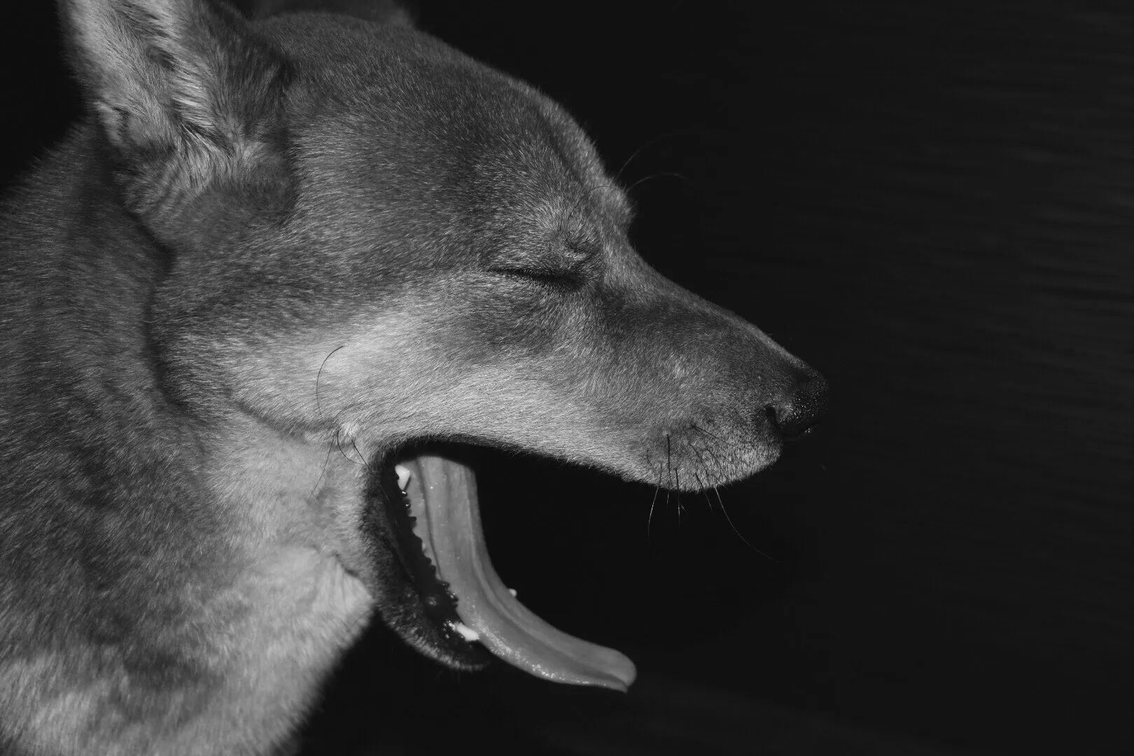 open wide