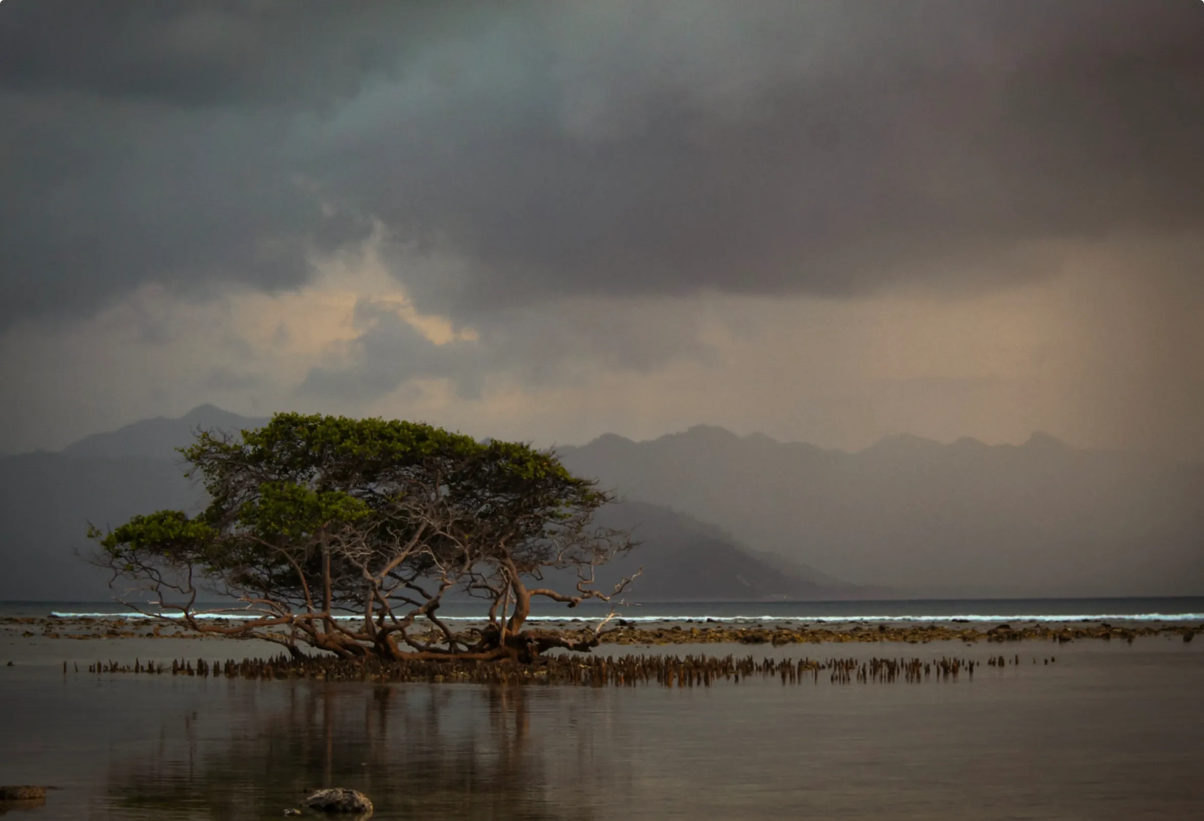 Solitude at low tide.