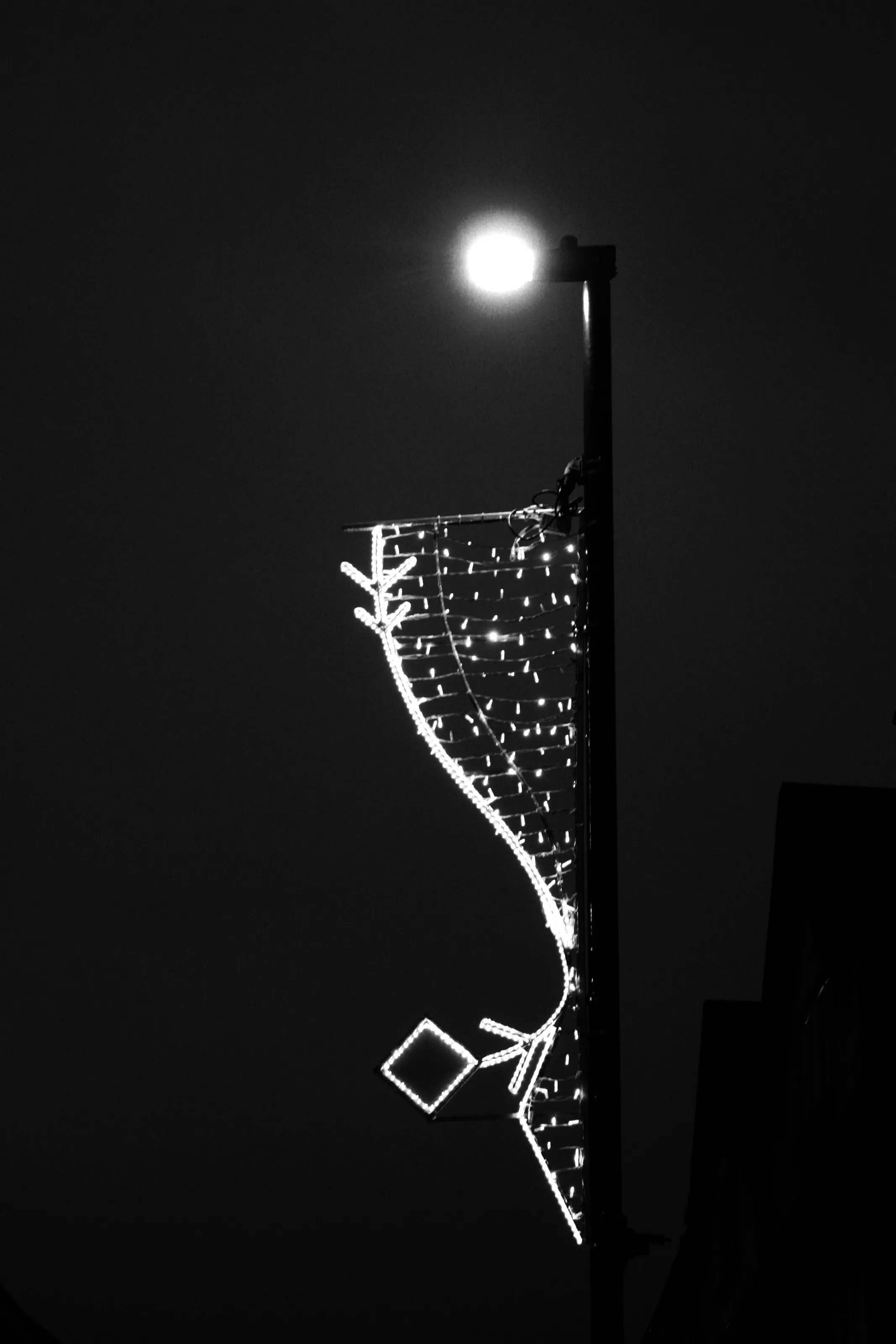 Dark Festive